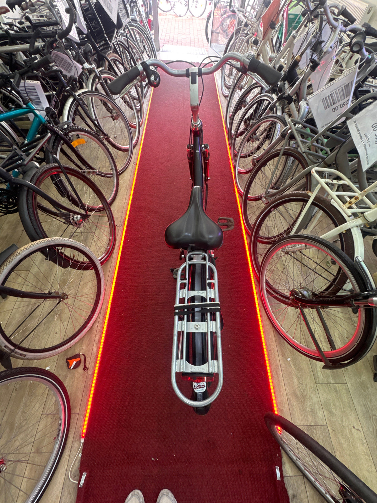 MAMBO Damesfiets + 1 maand garantie, 53, 7 speed