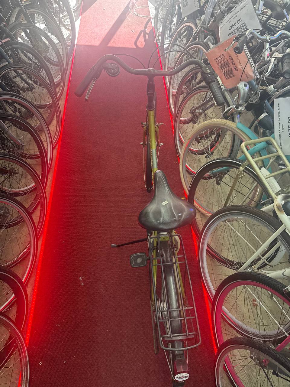BATAVUS Damesfiets + 1 maand garantie, 57 cm, 7 speed