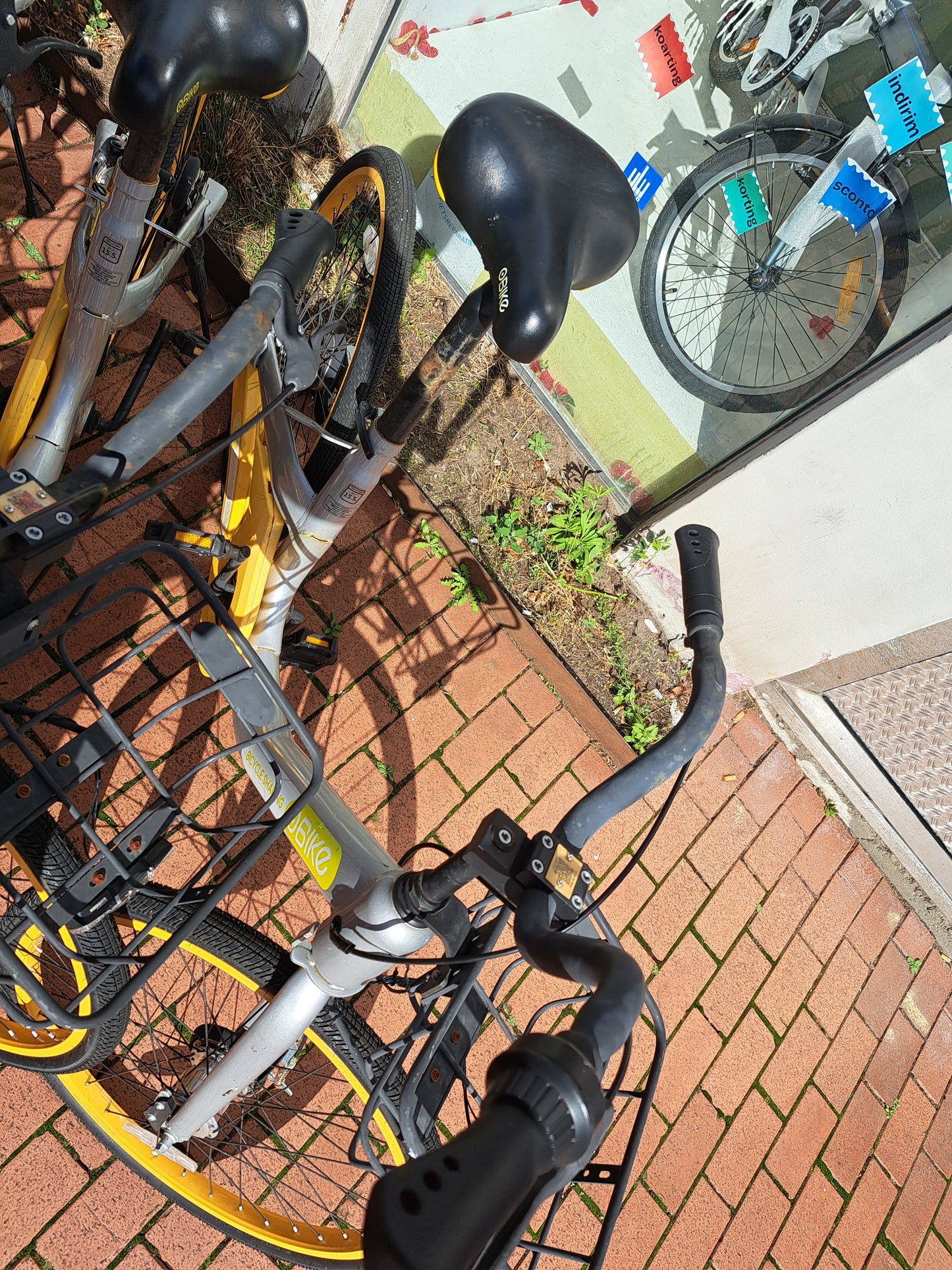 OBIKR Damesfiets + 1 maand garantie, 44 cm, 1 speed