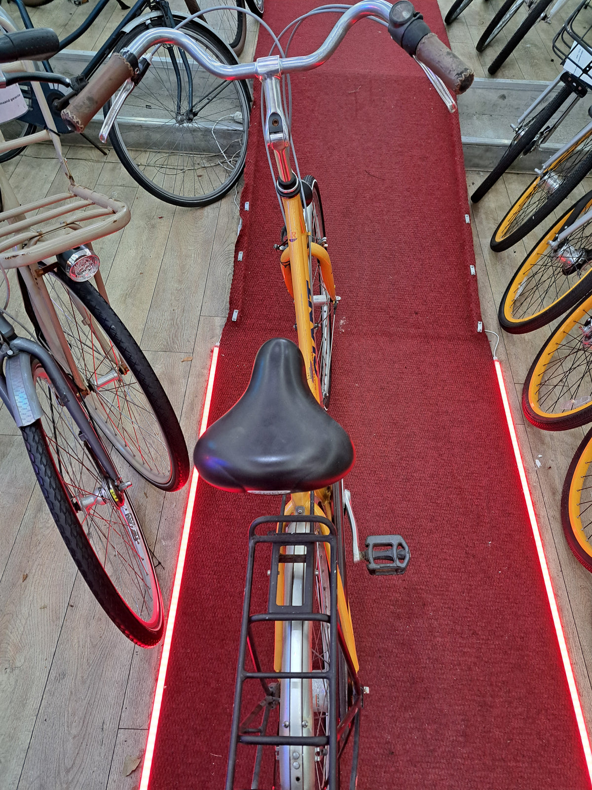 GIANT Damesfiets + 1 maand garantie, 57 cm, 7 speed
