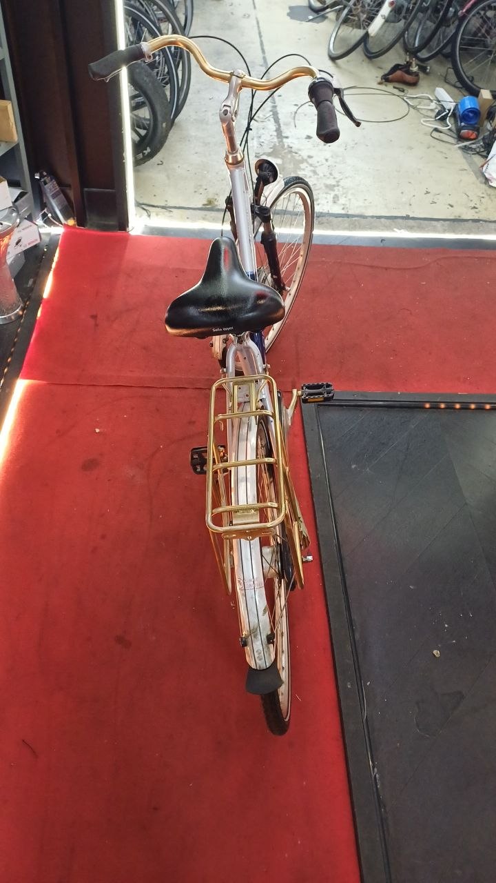 RALEIGH Damesfiets + 1 maand garantie, 54 cm, 7 speed