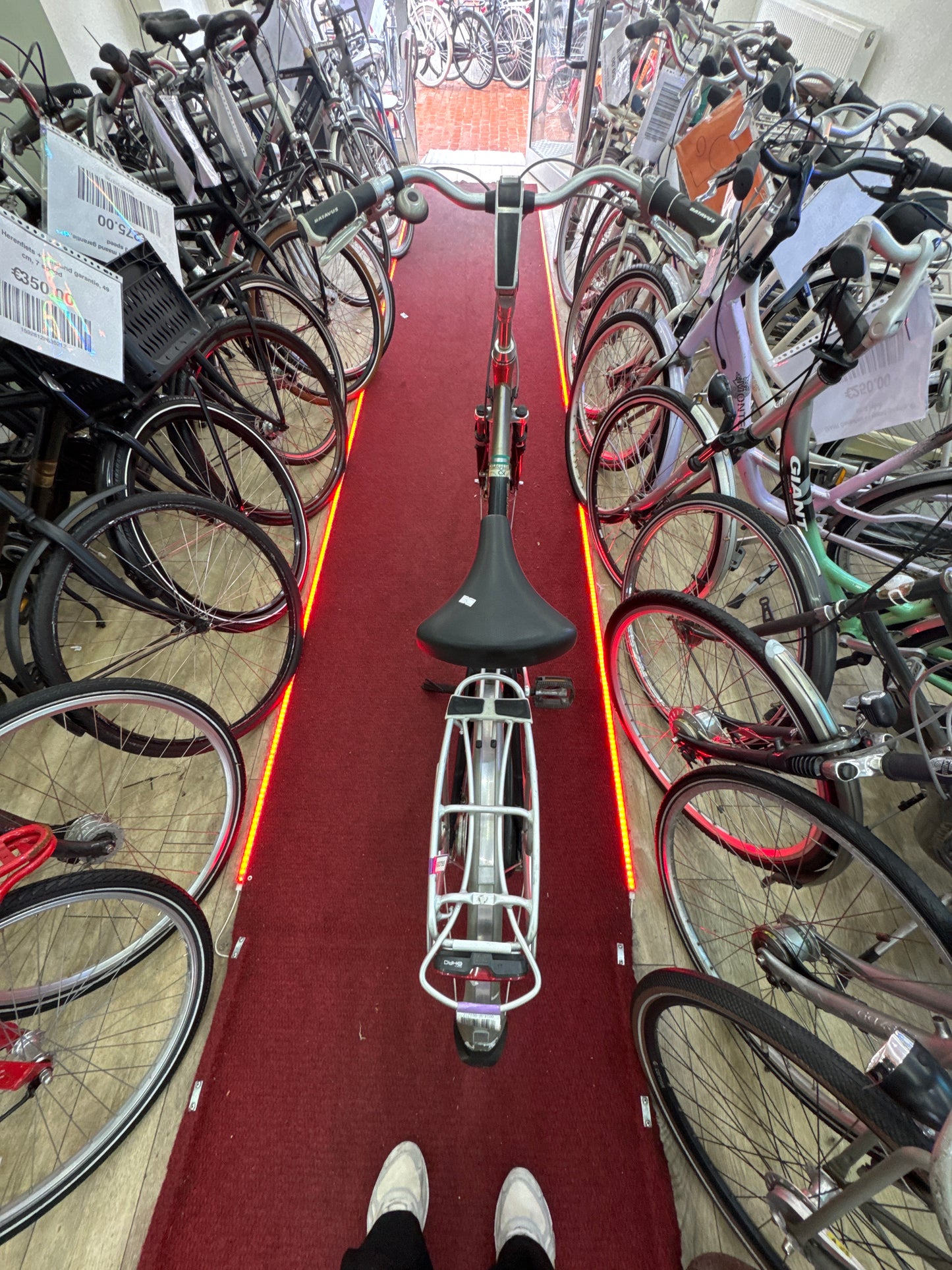 BATAVUS Damesfiets + 1 maand garantie, 53, 8 speed
