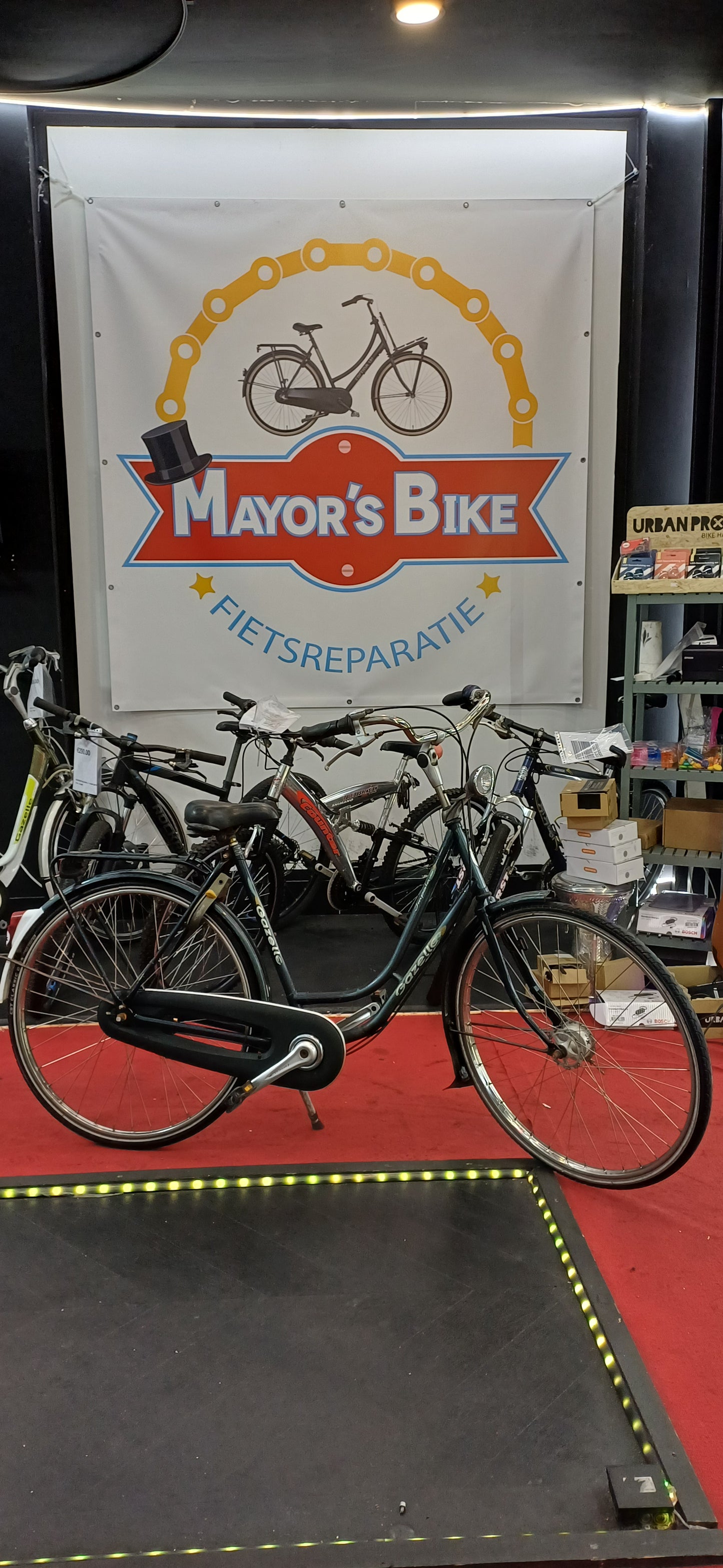 GAZELLE Damesfiets + 1 maand garantie, 55, 4 speed