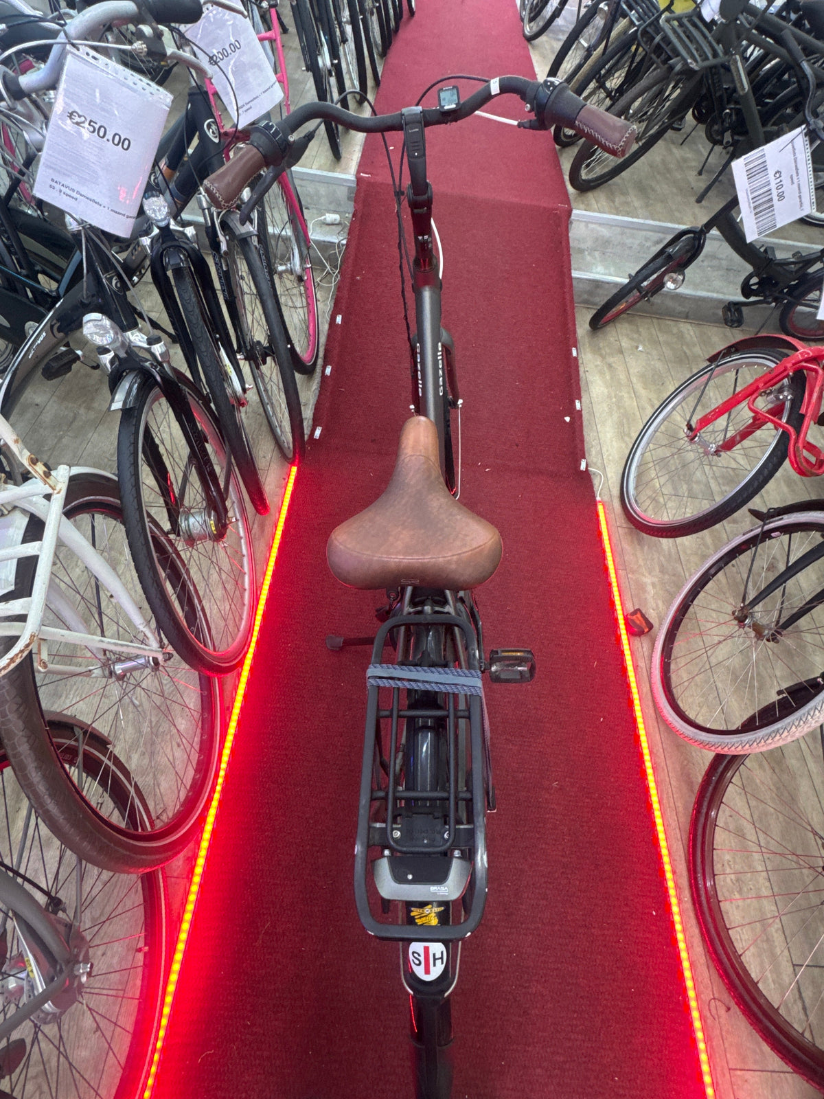 GAZELLE Damesfiets + 1 maand garantie, 53, 8 speed