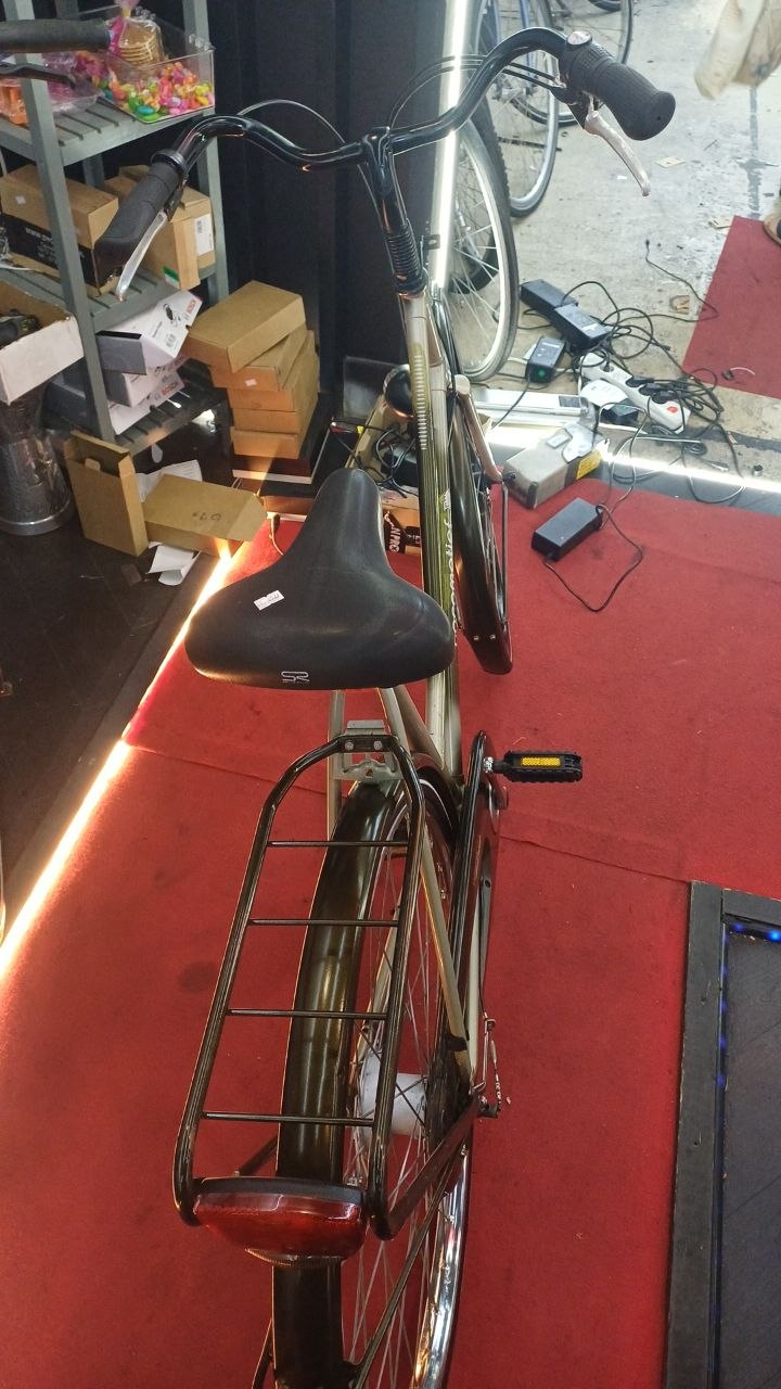 Locomotief Damesfiets + 1 maand garantie, 58, 3 speed