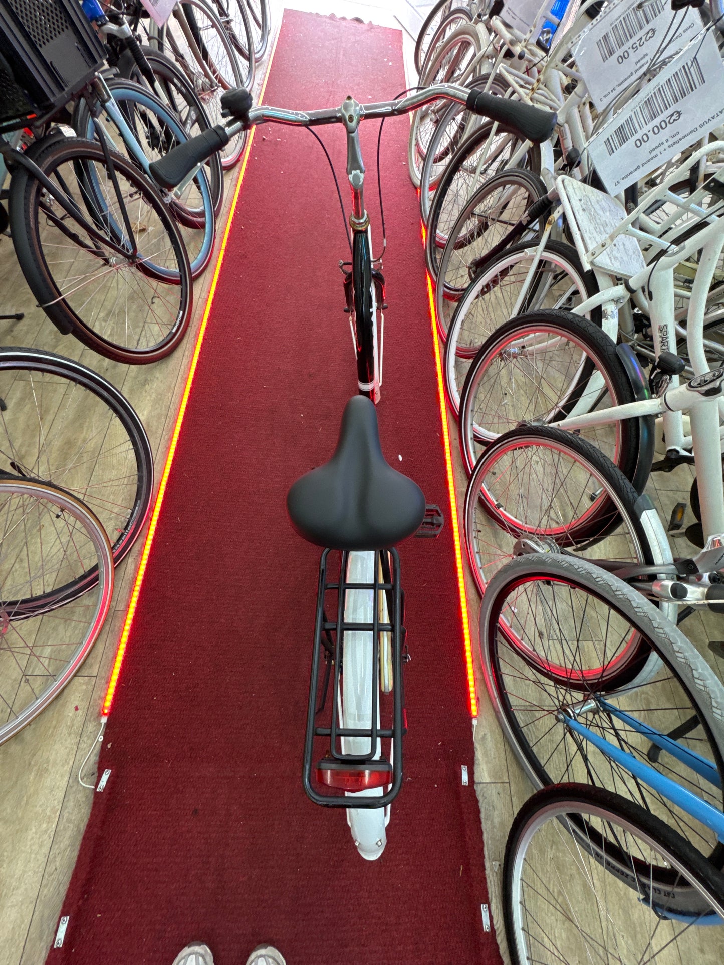 POPAL Damesfiets + 1 maand garantie, 54, 1 speed