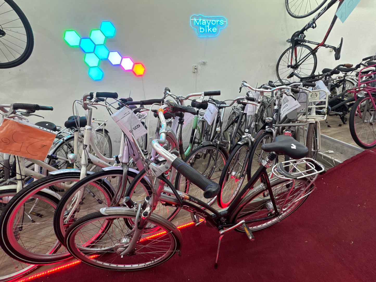GAZELLE Damesfiets + 1 maand garantie, 61, 8 speed