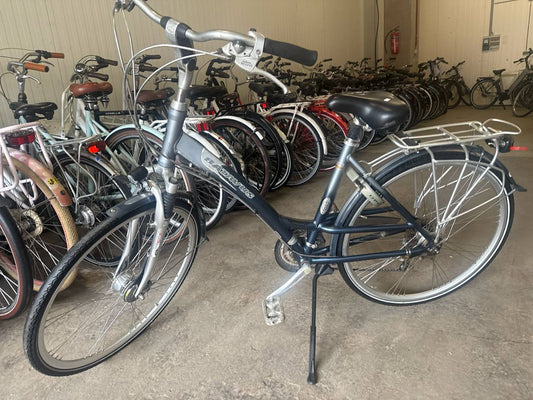 BATAVUS Damesfiets + 1 maand garantie, 49 cm, 7 speed