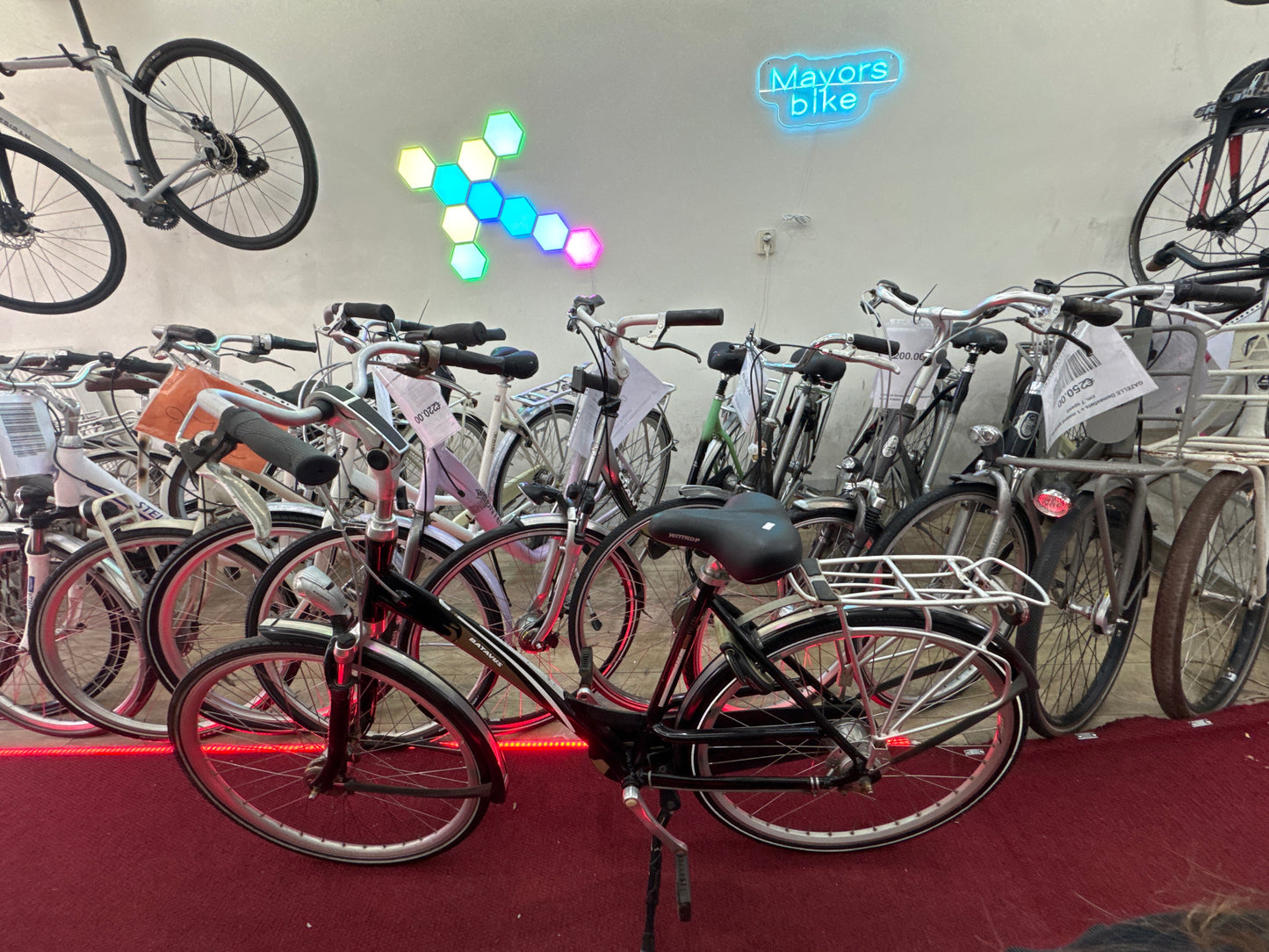 BATAVUS Damesfiets + 1 maand garantie, 53, 8 speed