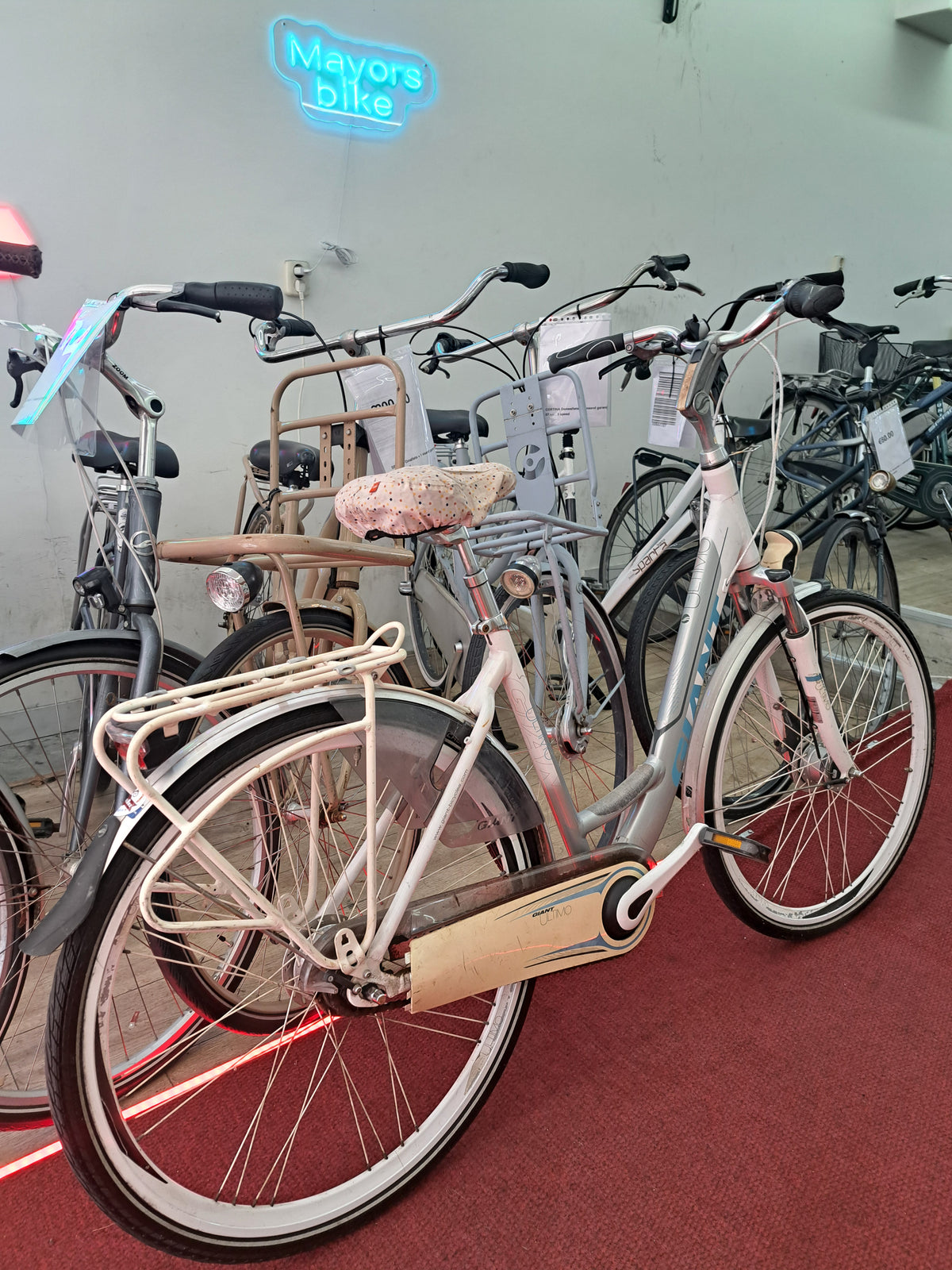 GIANT Damesfiets + 1 maand garantie, 57 cm, 7 speed