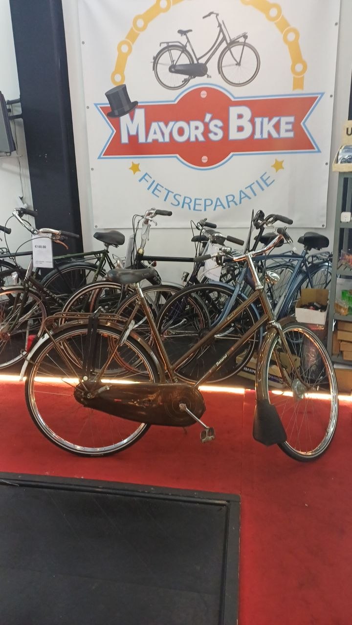 BATAVUS Damesfiets + 1 maand garantie, 57 cm, 3 speed