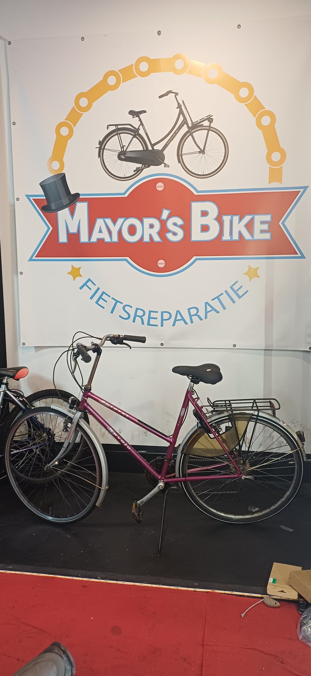 BATAVUS Damesfiets + 1 maand garantie, 60, 7 speed