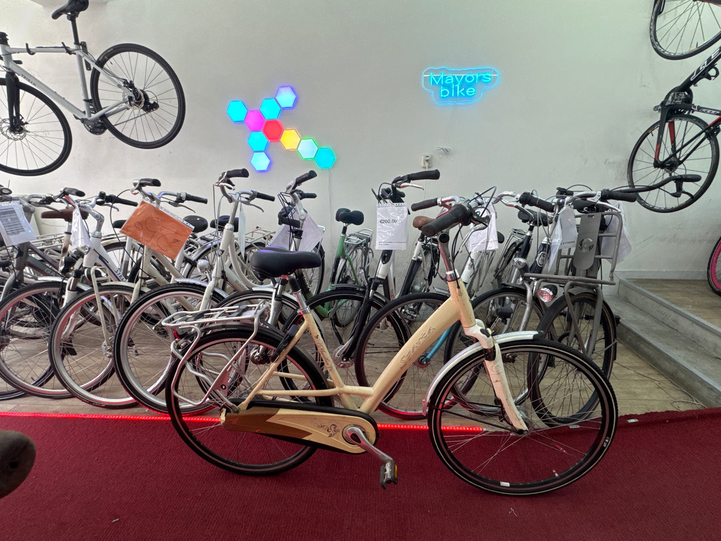 SPARTA Damesfiets + 1 maand garantie, 52, 8 speed