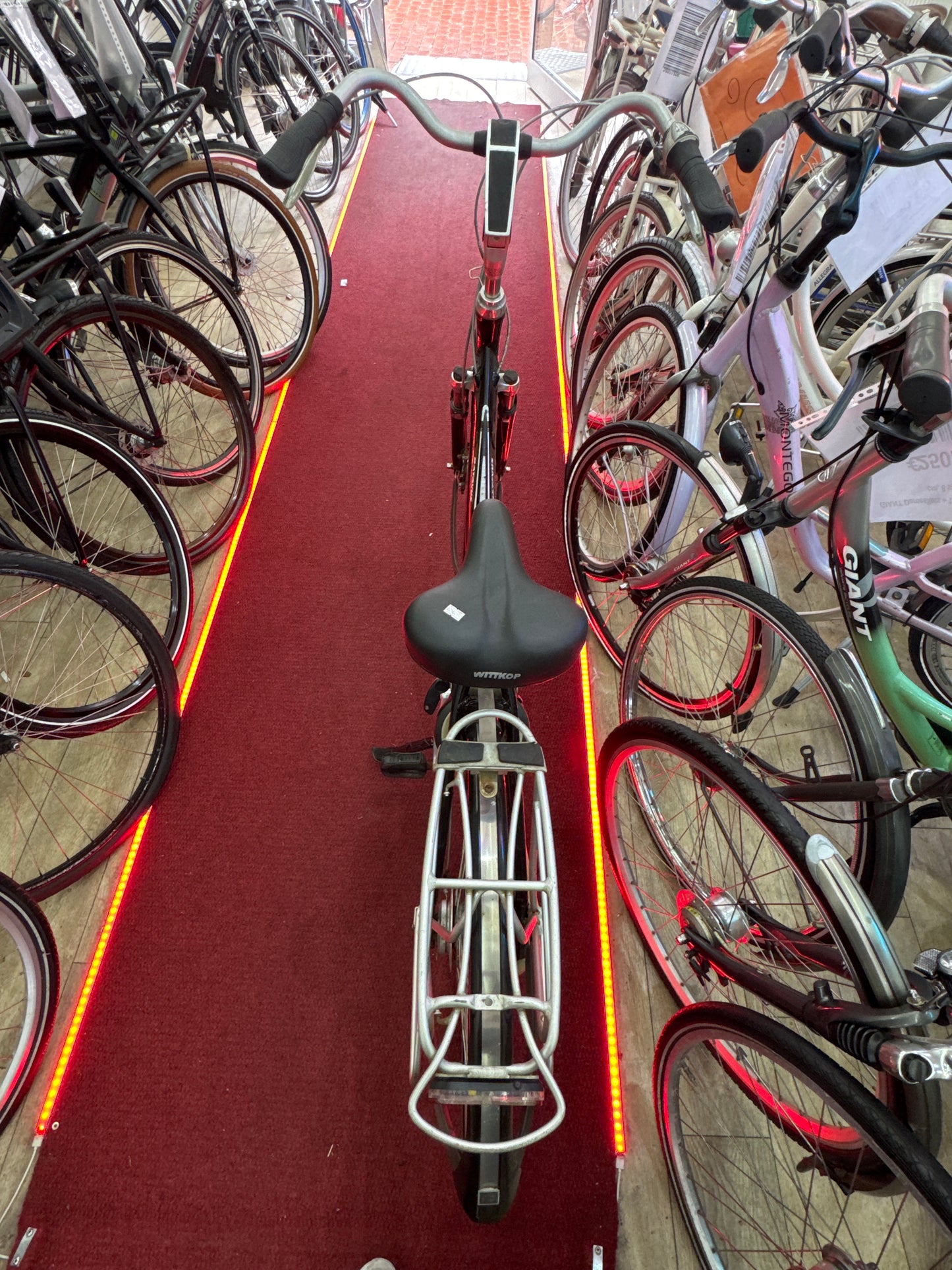 BATAVUS Damesfiets + 1 maand garantie, 53, 8 speed