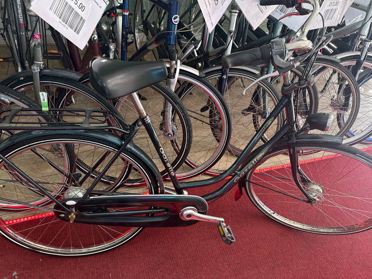 GAZELLE Damesfiets + 1 maand garantie, 44 cm, 7 speed