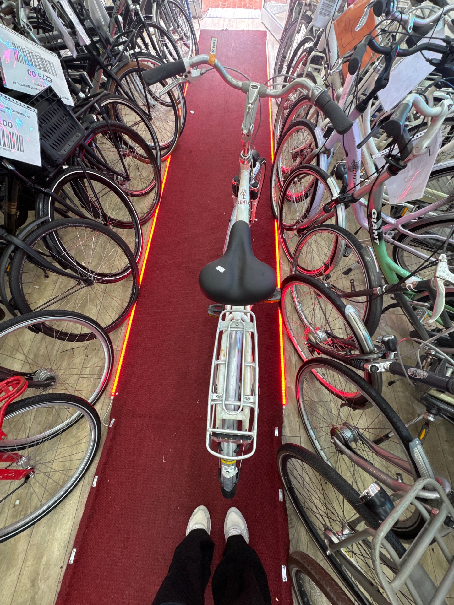 BATAVUS Damesfiets + 1 maand garantie, 53, 7 speed