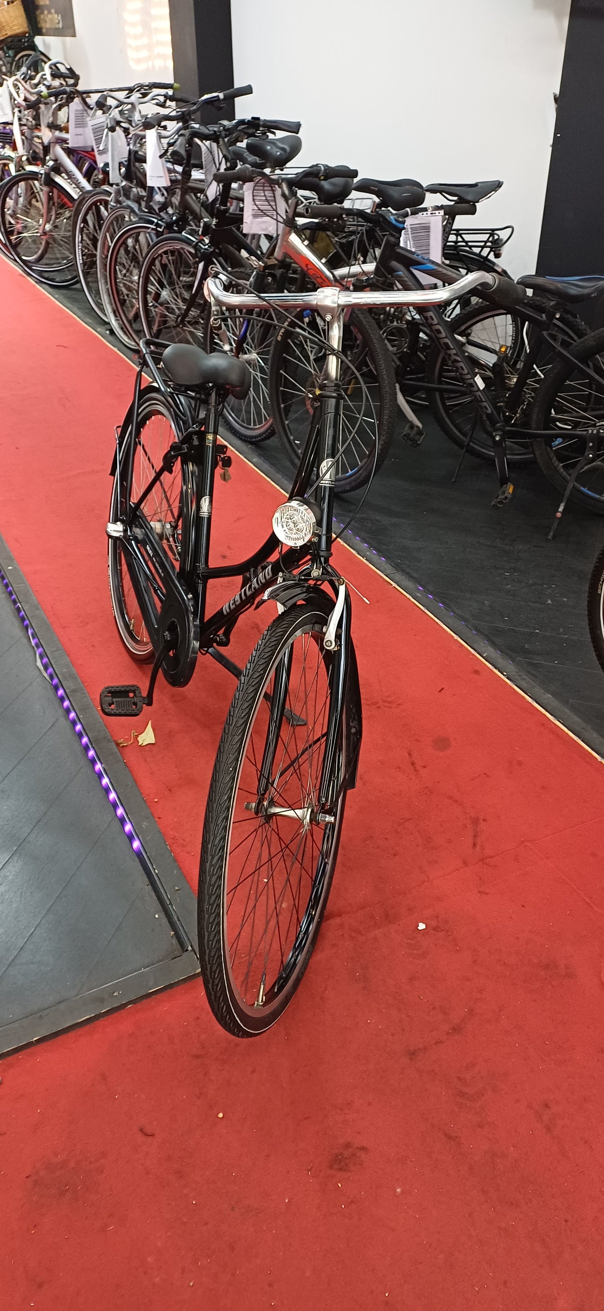 WESTLAND Damesfiets + 1 maand garantie, 49 cm, 3 speed