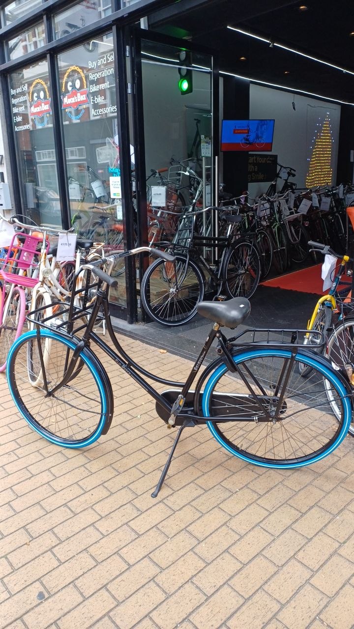 BATAVUS Omafiets + 1 maand garantie, 54 cm, 1 speed