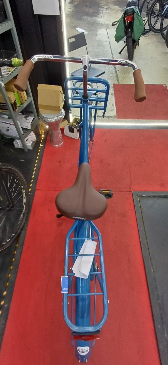 SWINCKELS Damesfiets + 1 maand garantie, 54 cm, 1 speed