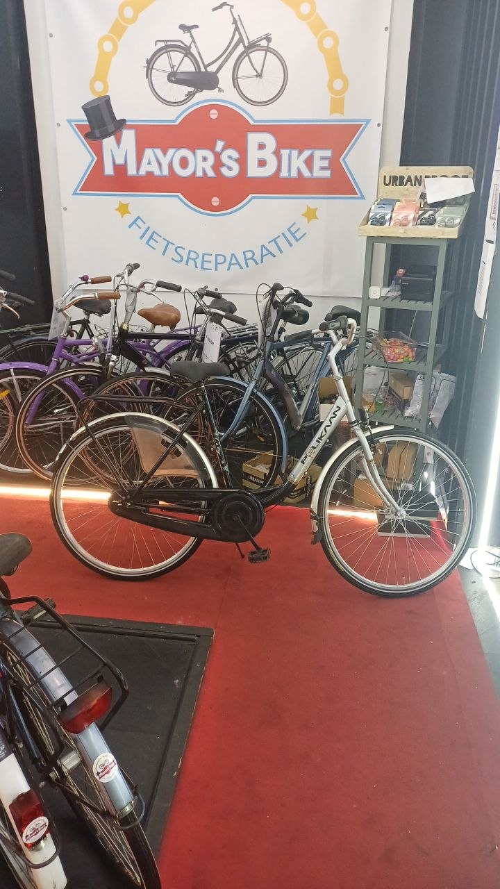 Pelkaan Damesfiets + 1 maand garantie, 54 cm, 3 speed