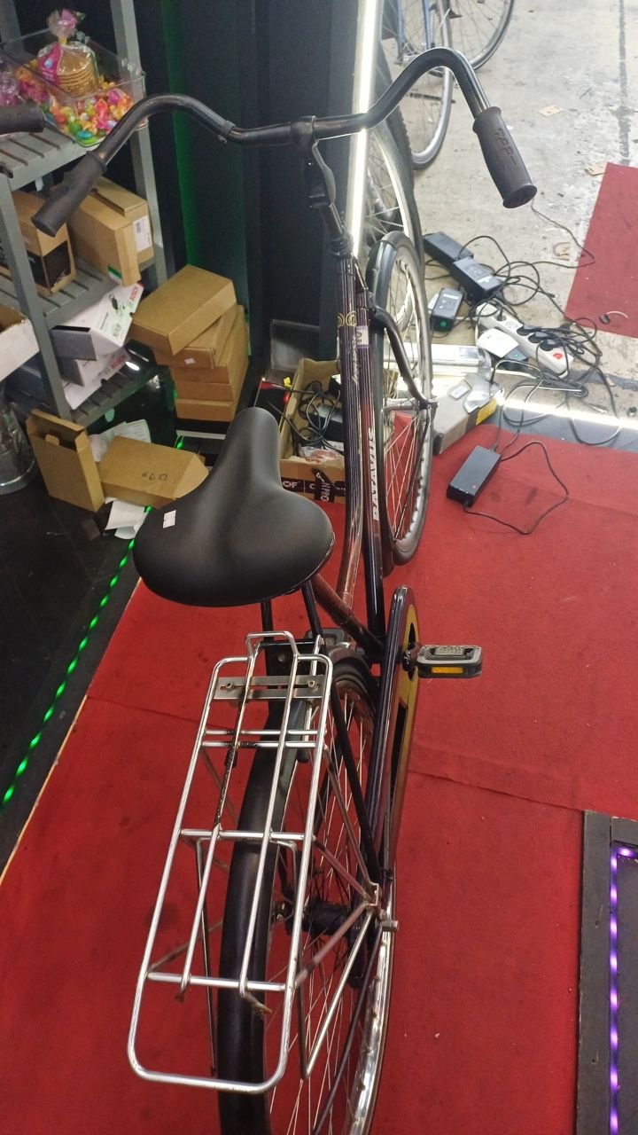 BATAVUS Damesfiets + 1 maand garantie, 57 cm, 1 speed