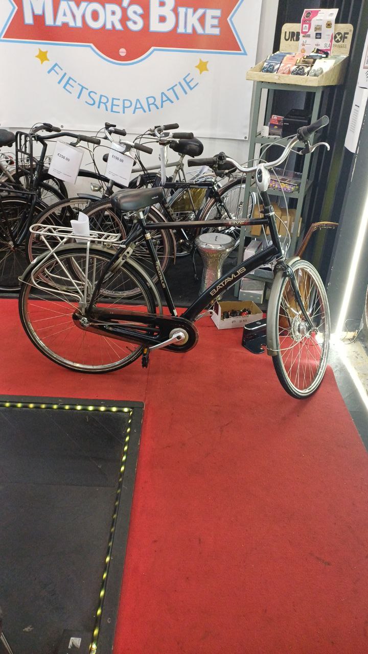 BATAVUS Herenfiets + 1 maand garantie, 61 cm, 3 speed