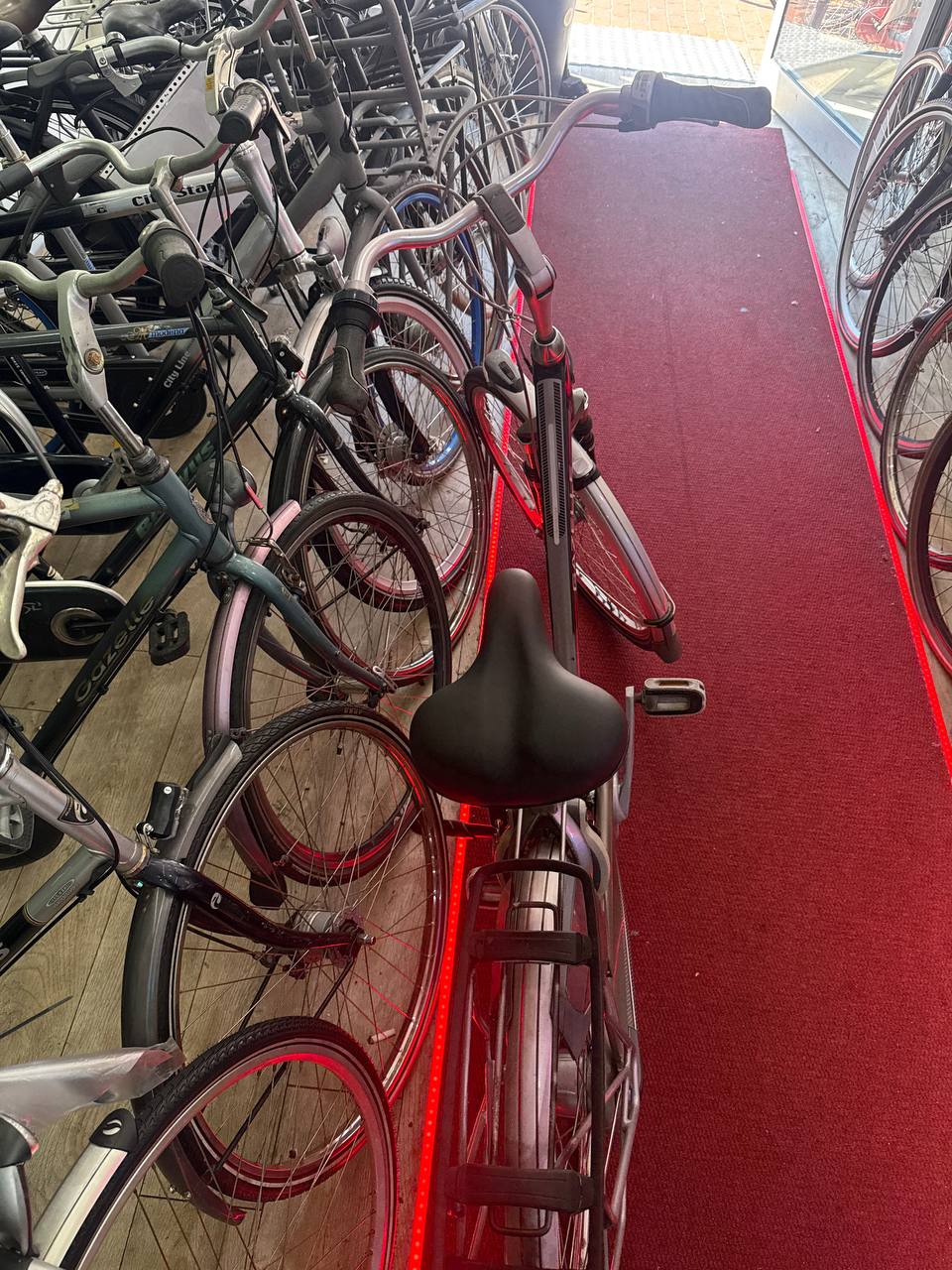 GAZELLE Damesfiets + 1 maand garantie, 57 cm, 7 speed