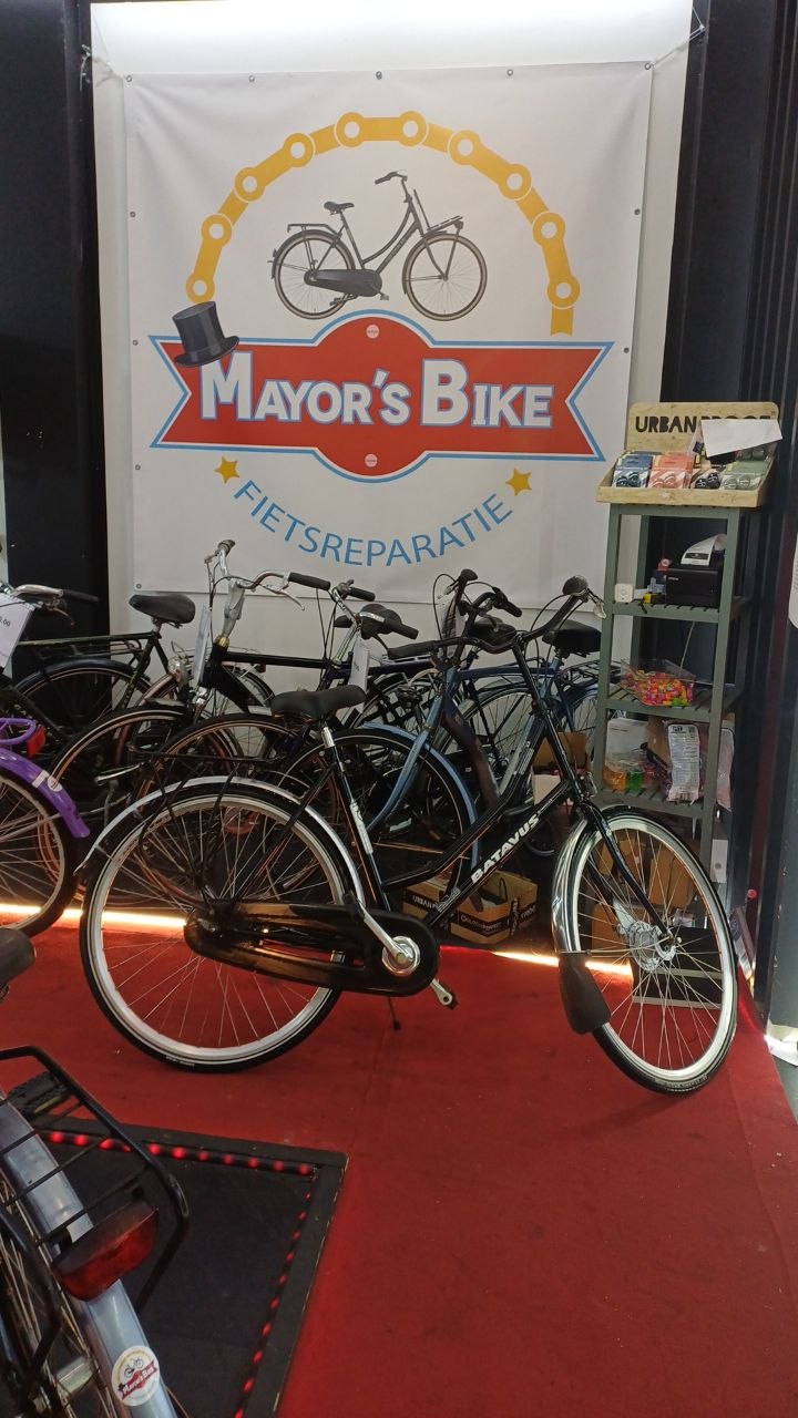 BATAVUS Damesfiets + 1 maand garantie, 54 cm, 7 speed