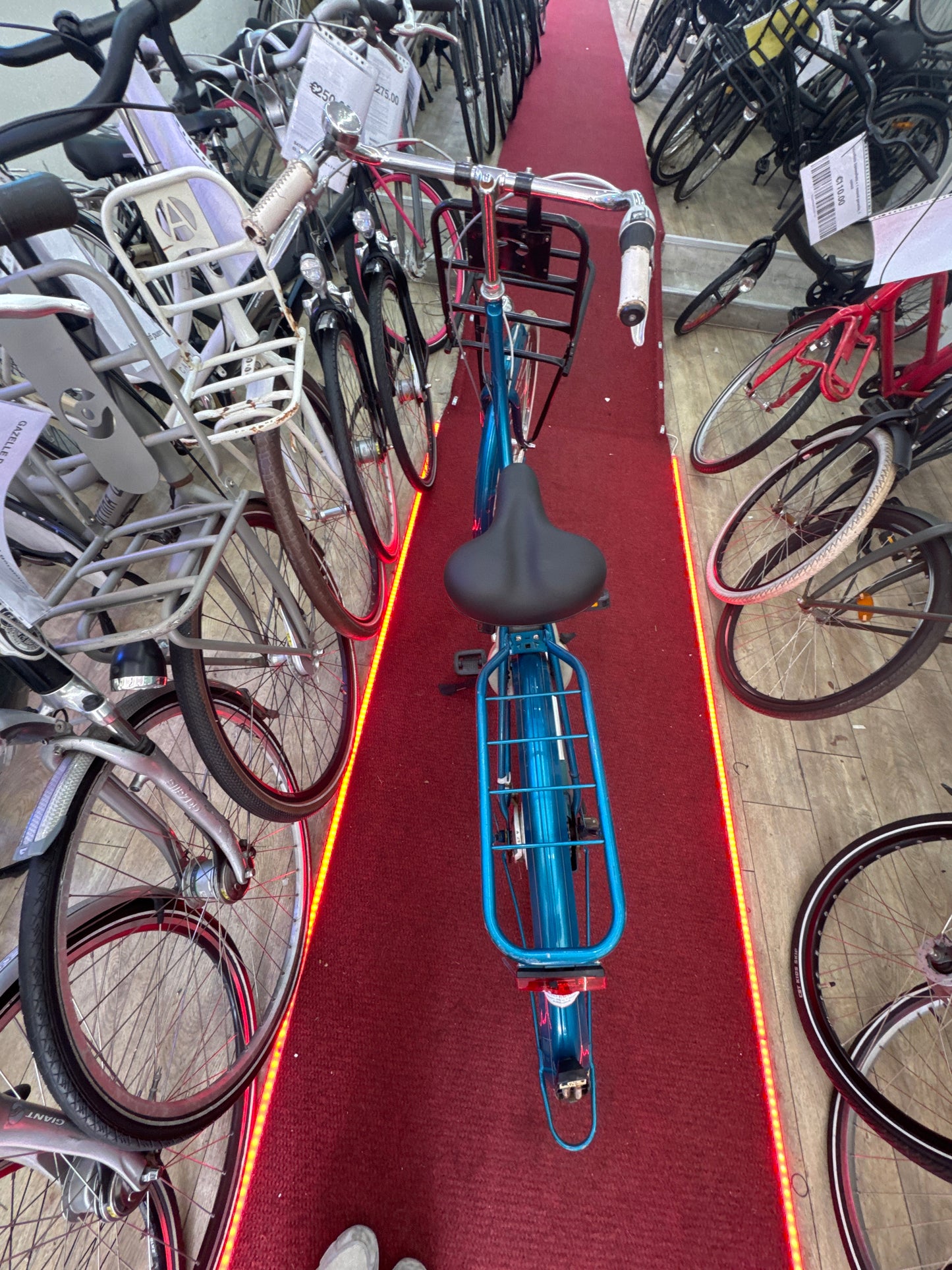 BATAVUS Omafiets + 1 maand garantie, 56, 3 speed