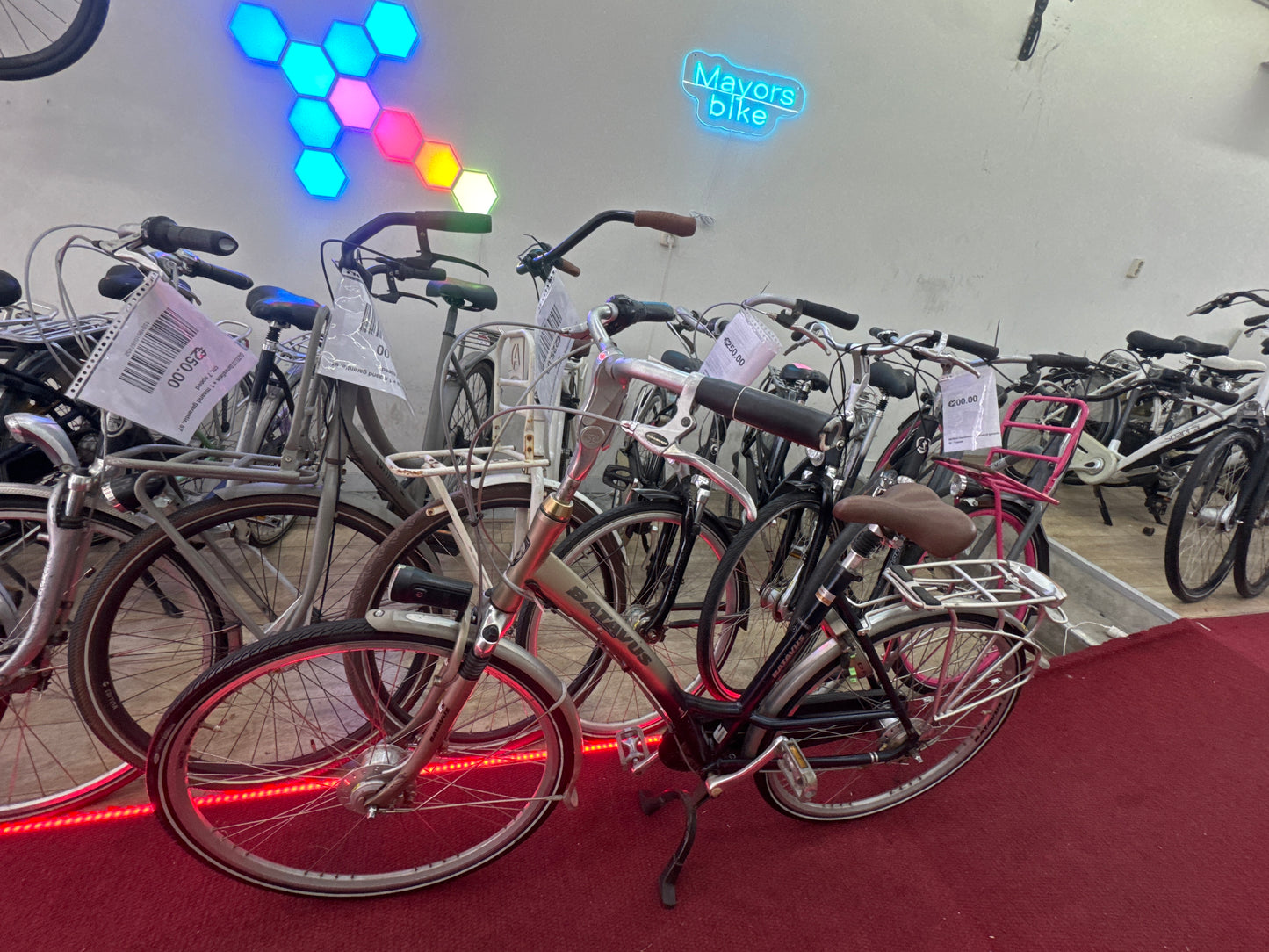 BATAVUS Damesfiets + 1 maand garantie, 53, 8 speed