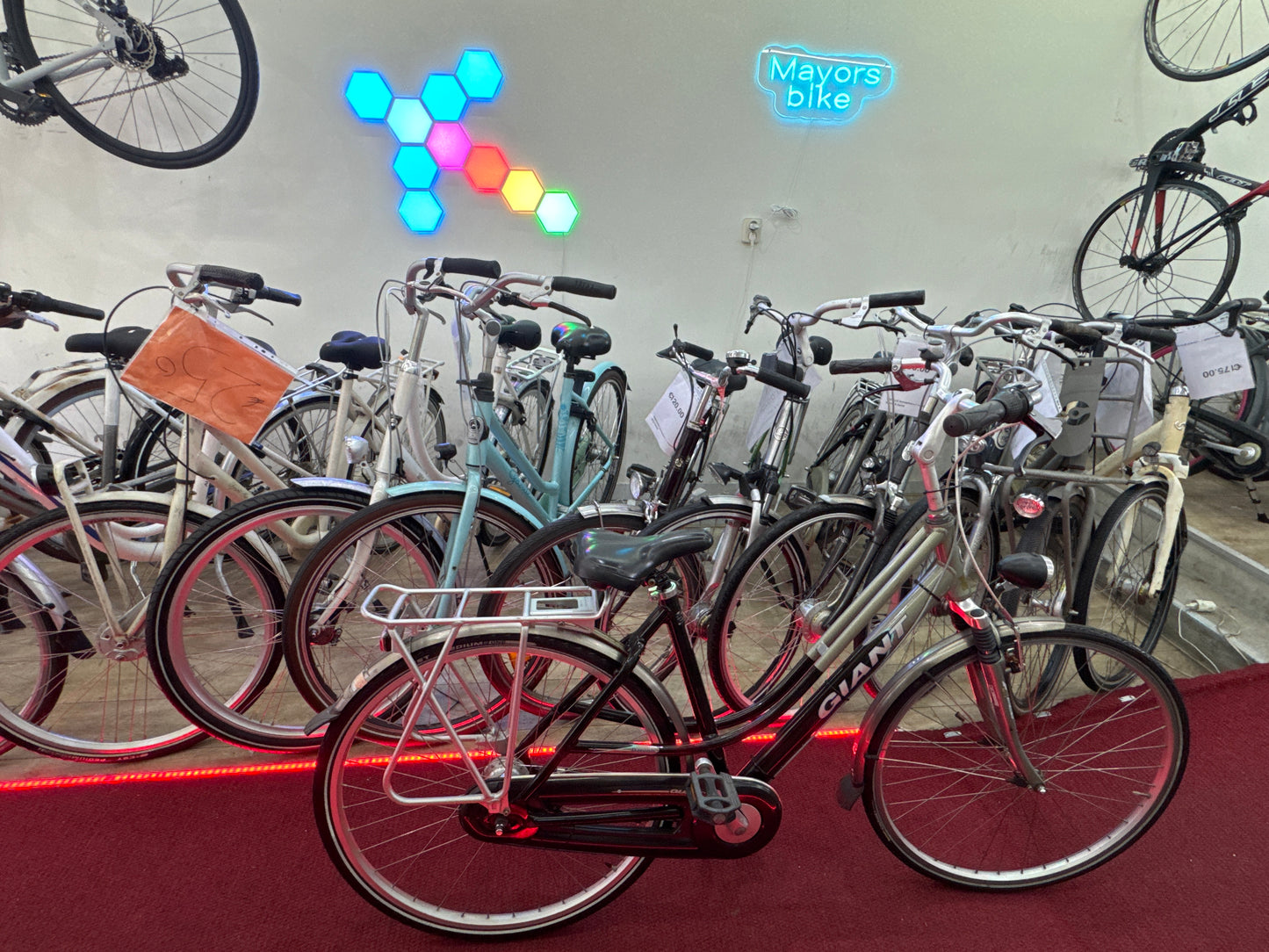 GIANT Damesfiets + 1 maand garantie, 52, 7 speed