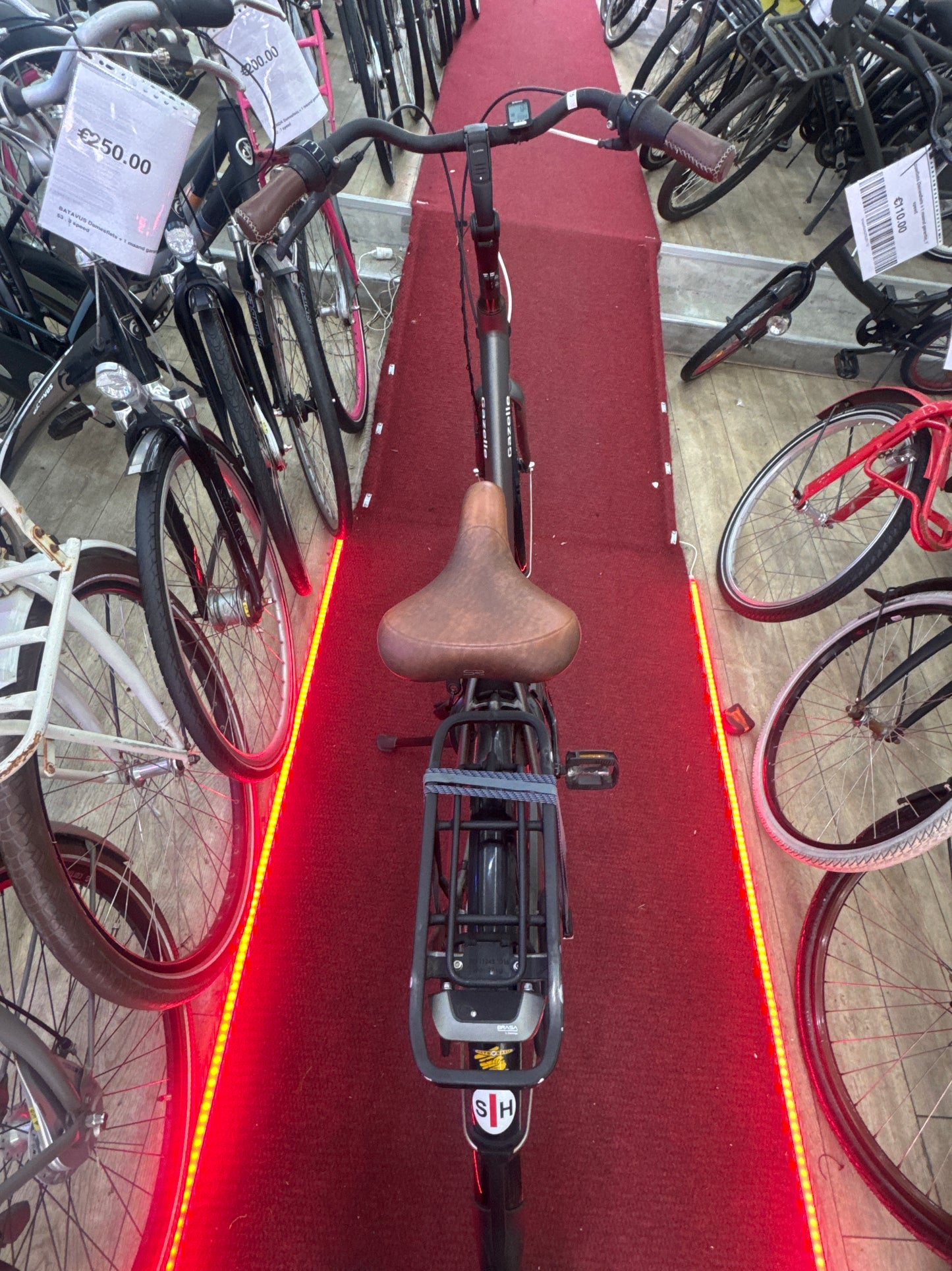 GAZELLE Damesfiets + 1 maand garantie, 53, 8 speed