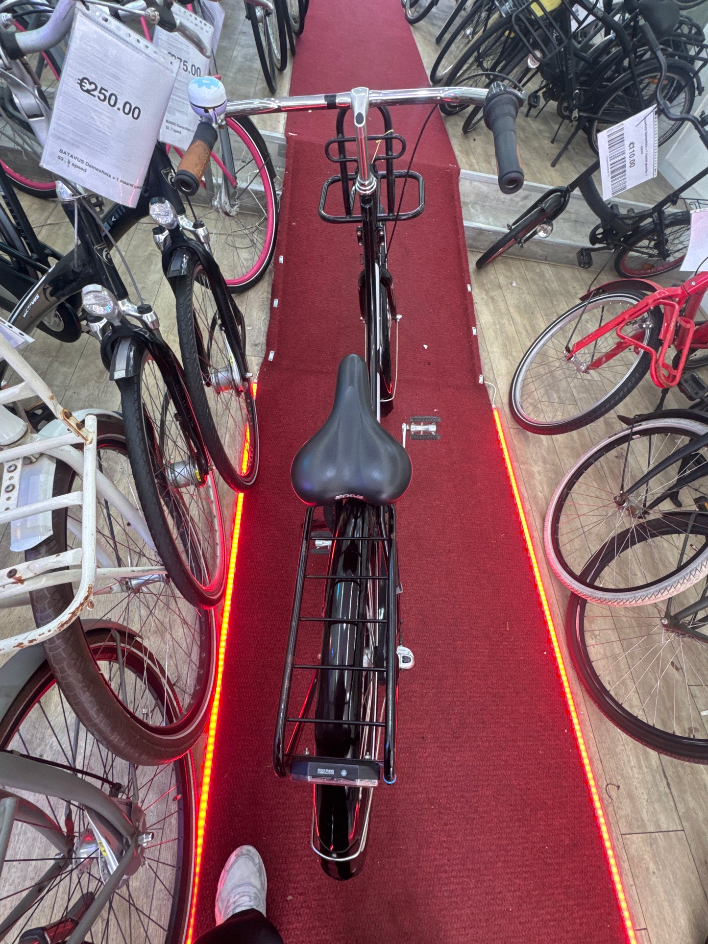 SPARTA Omafiets + 1 maand garantie, 55, 3 speed