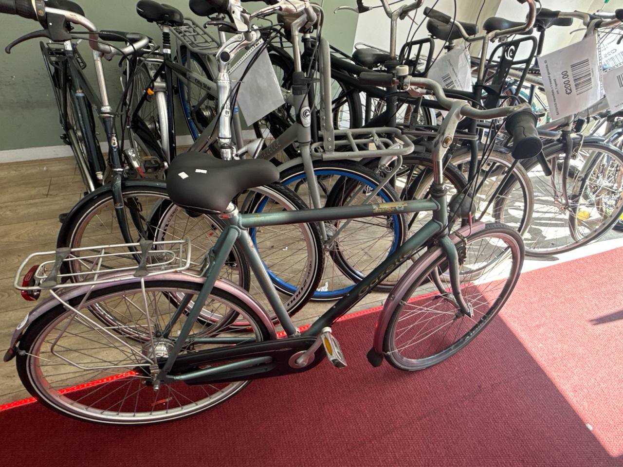 GAZELLE Herenfiets + 1 maand garantie, 61 cm, 7 speed