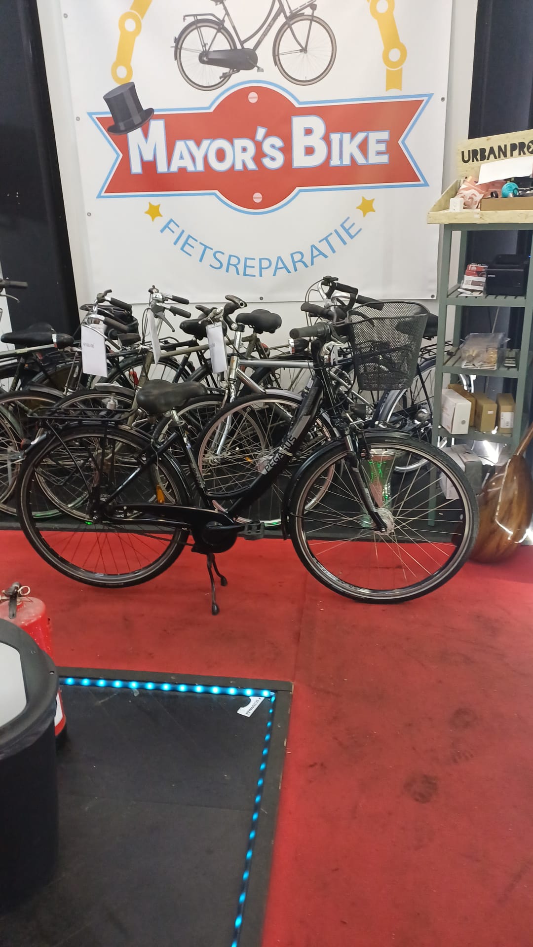 PEGASUS dames fiets 7 versnelling met een mand garantie 46 cm