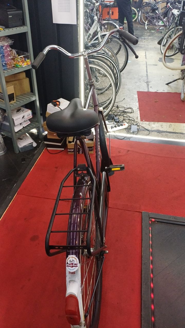 GAZELLE Herenfiets + 1 maand garantie, 66 speed
