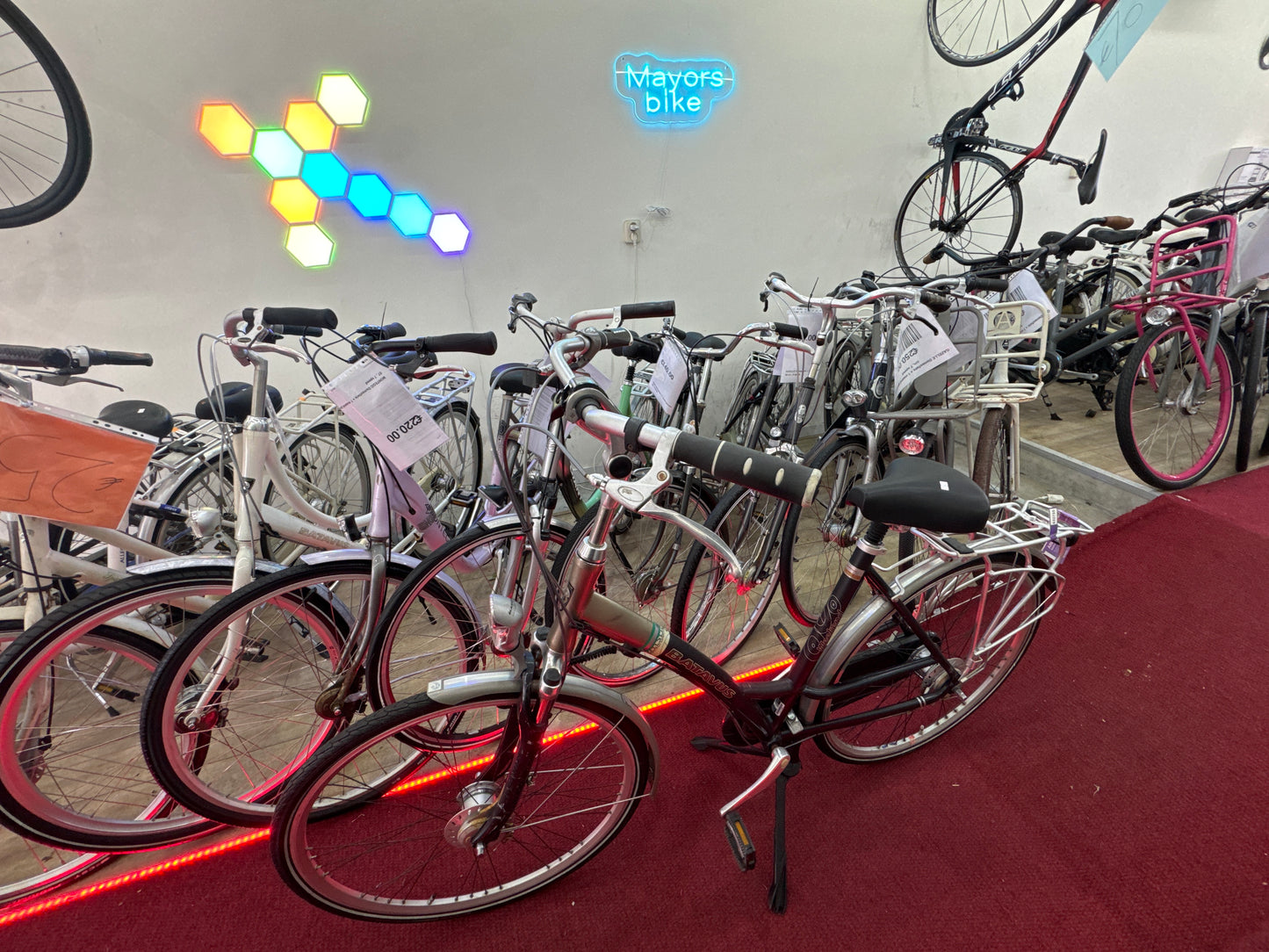 BATAVUS Damesfiets + 1 maand garantie, 53, 8 speed