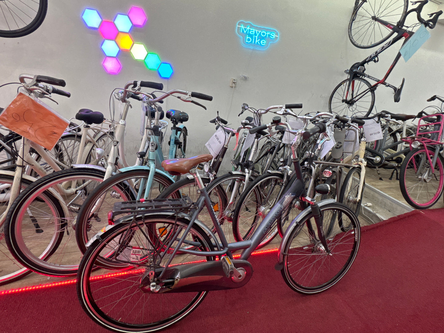 MAXWELL Omafiets + 1 maand garantie, 56, 3 speed