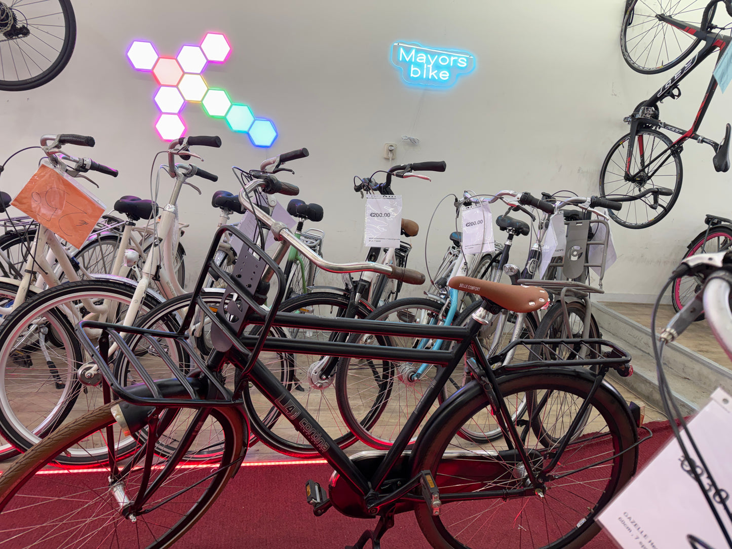 CORTINA Herenfiets + 1 maand garantie, 61 cm, 3 speed