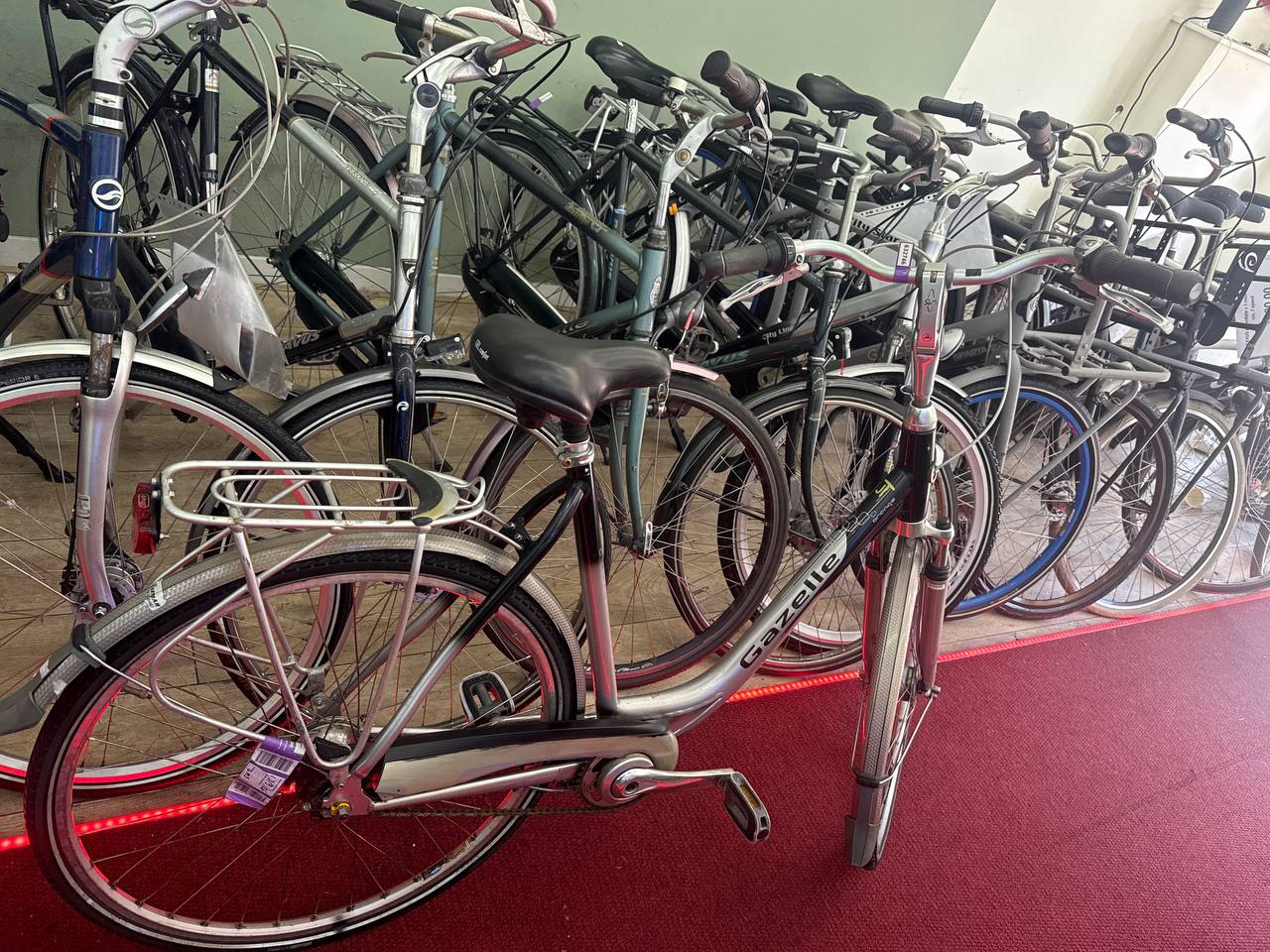 GAZELLE Damesfiets + 1 maand garantie, 57 cm, 7 speed