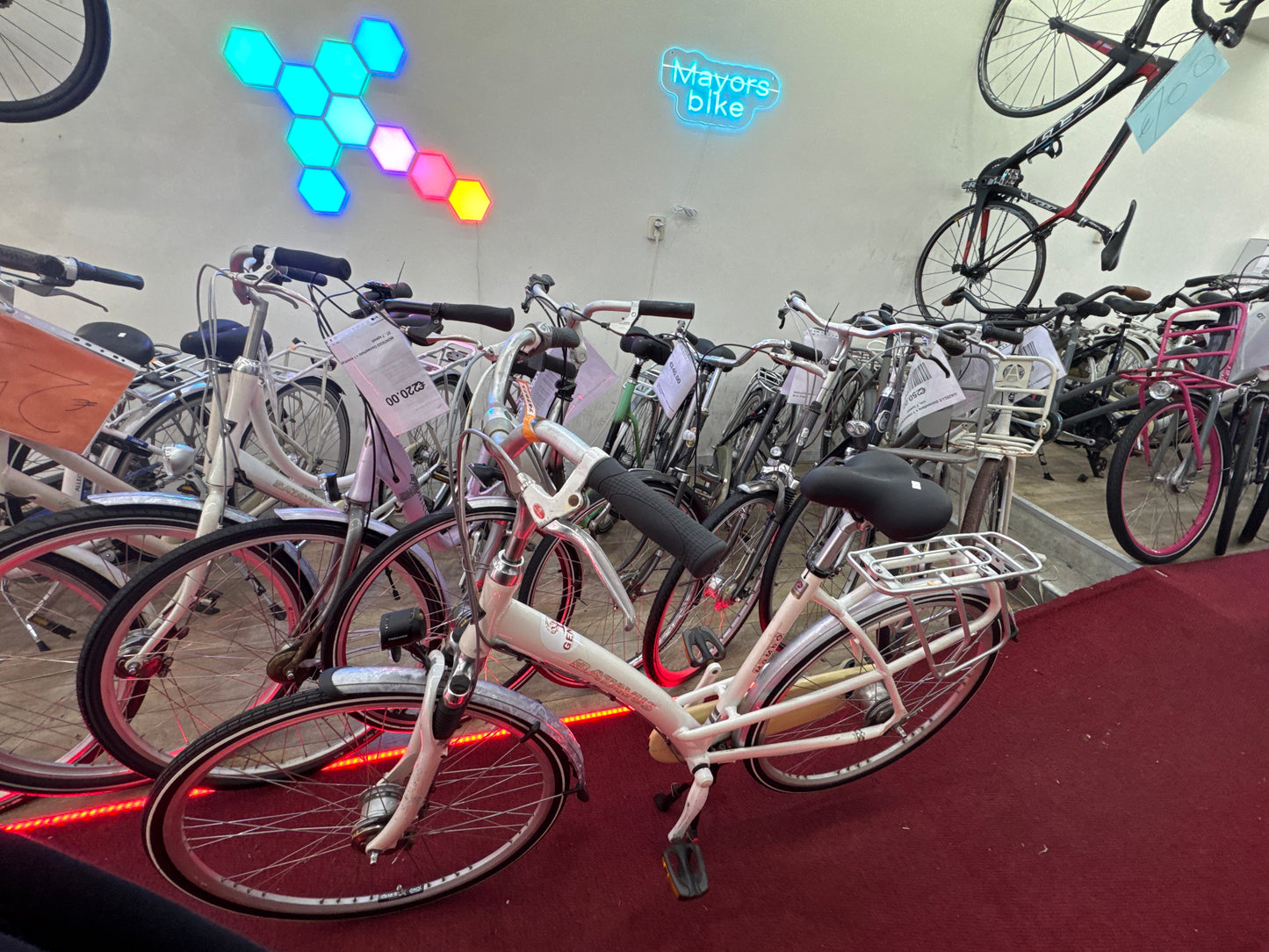BATAVUS Damesfiets + 1 maand garantie, 53, 7 speed