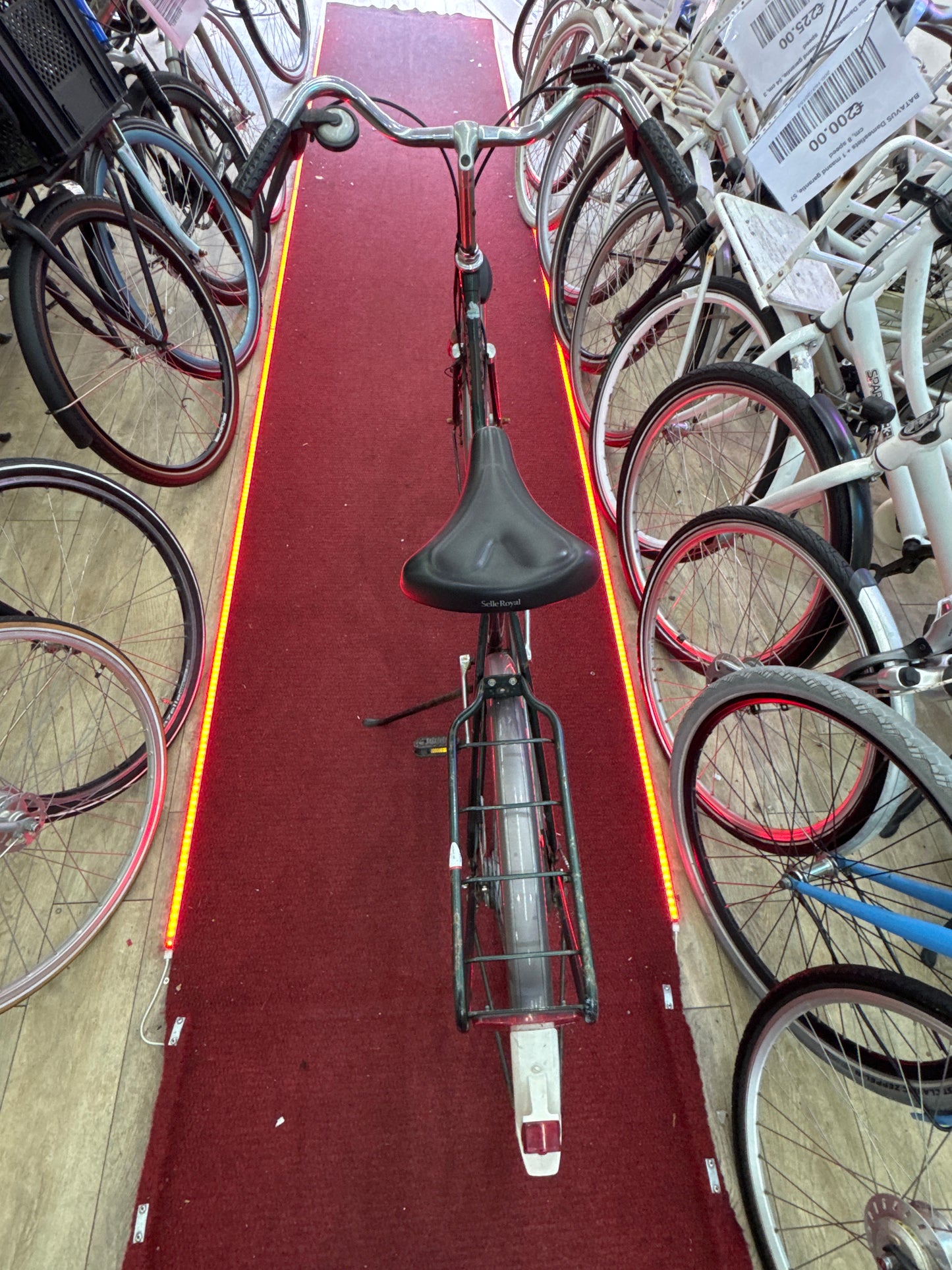 BATAVUS Damesfiets + 1 maand garantie, 60, 3 speed