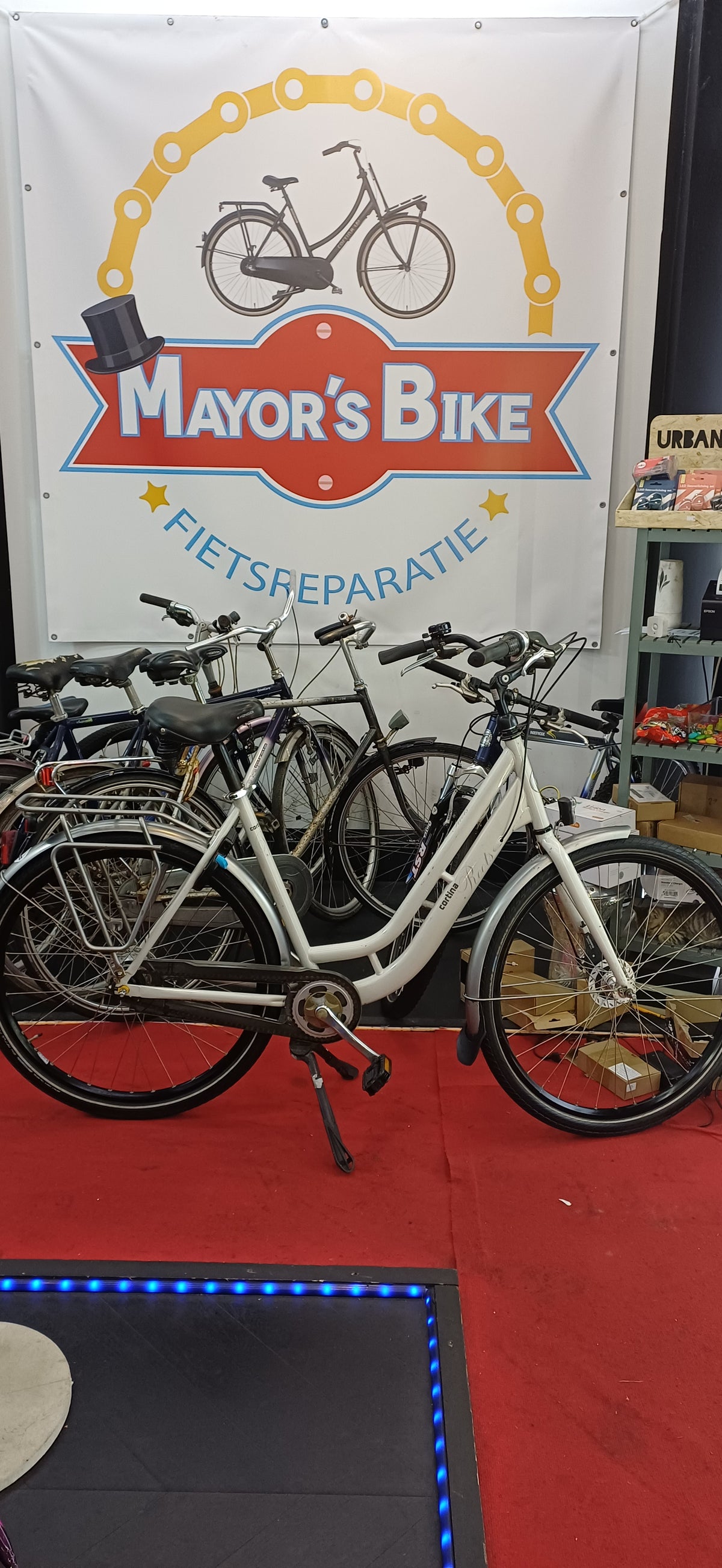 CORTINA Damesfiets + 1 maand garantie, 57 cm, 7 speed