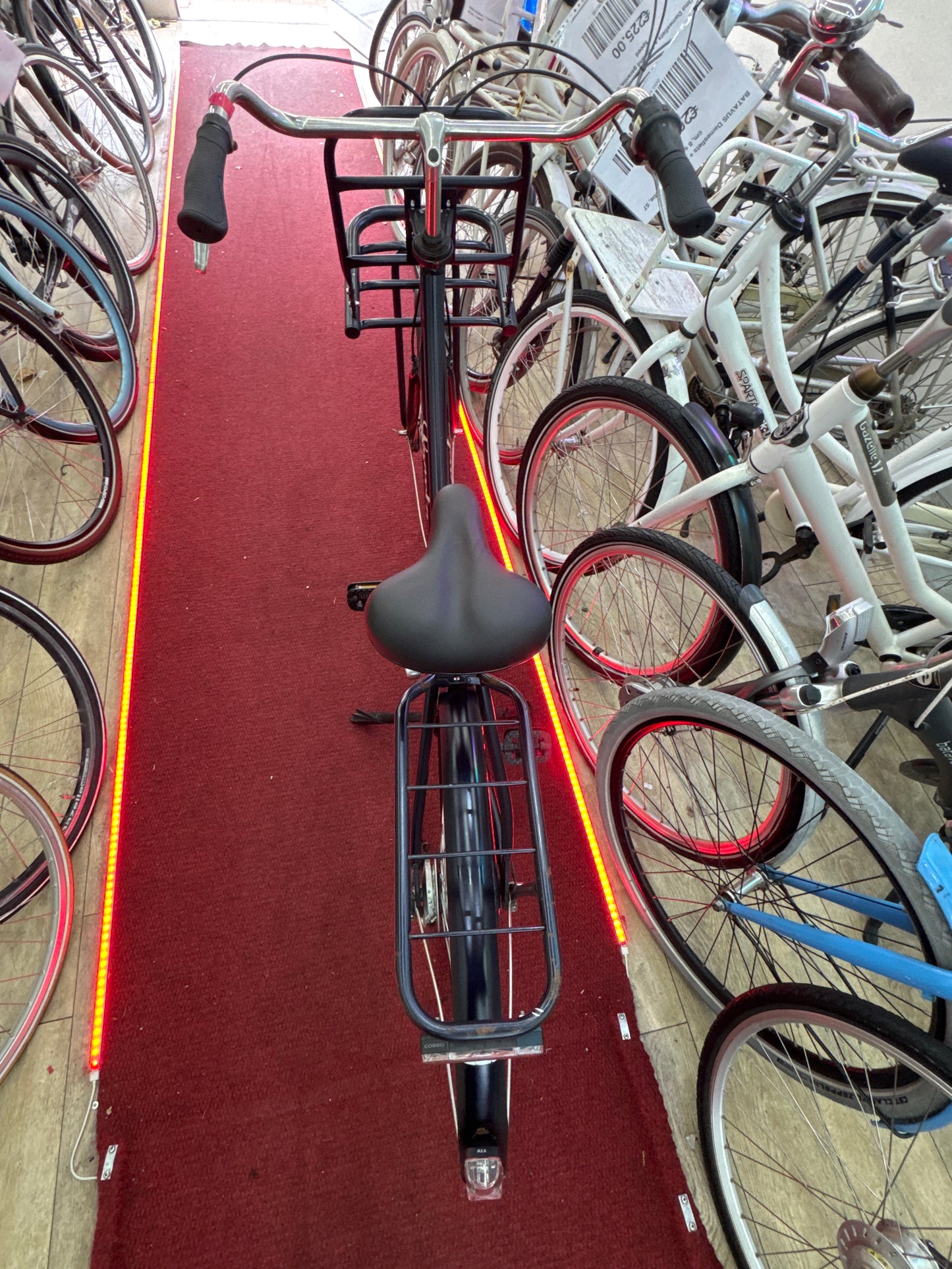 SPARTA Damesfiets + 1 maand garantie, 55, 7 speed
