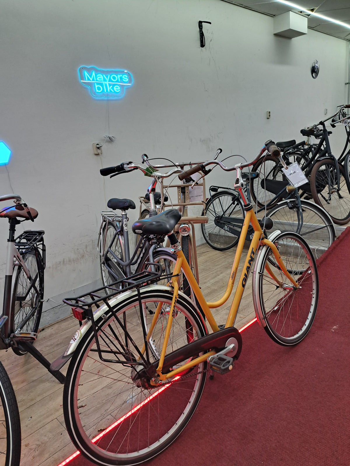 GIANT Damesfiets + 1 maand garantie, 57 cm, 7 speed