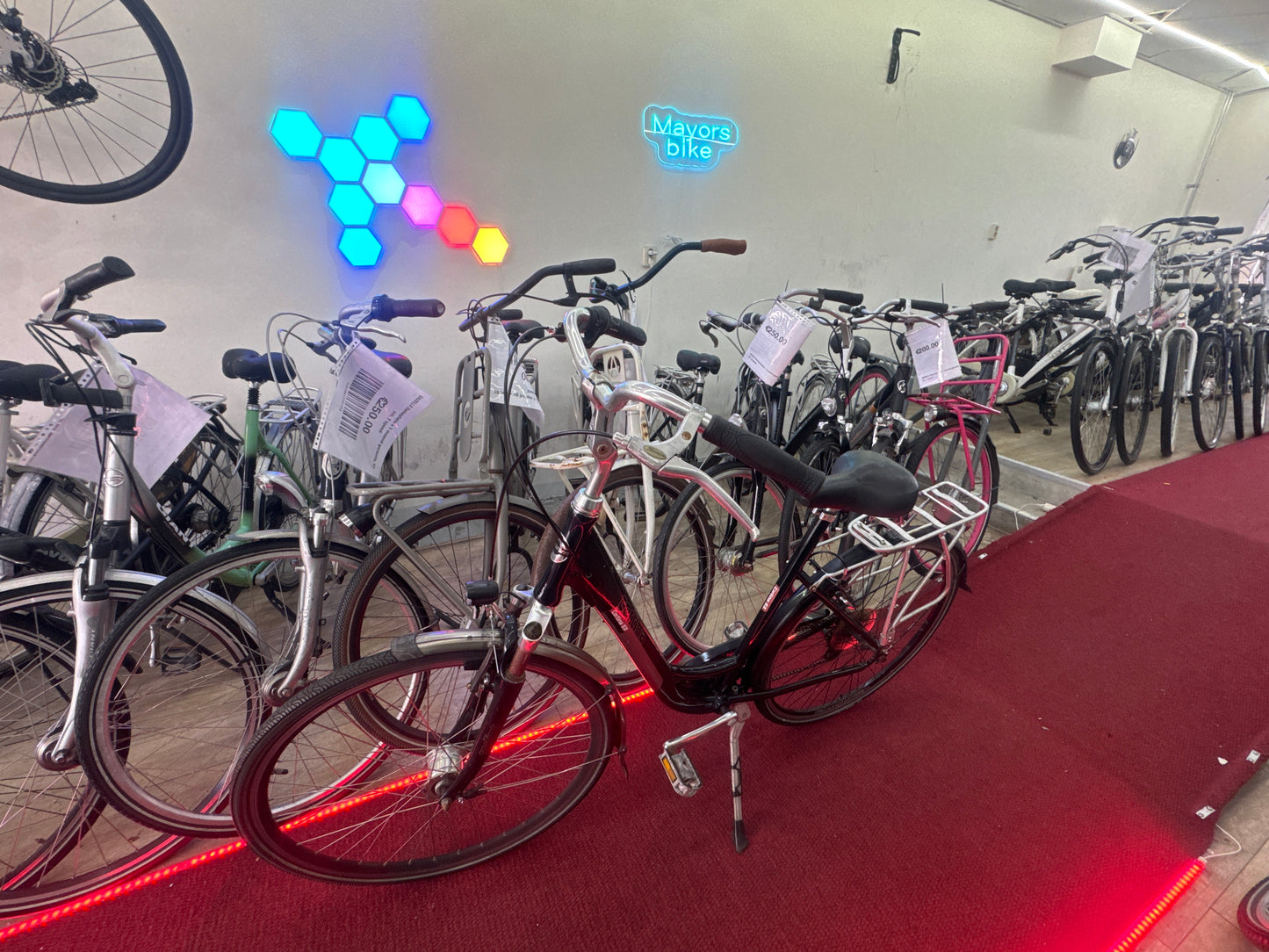 CORTINA Damesfiets + 1 maand garantie, 55, 7 speed
