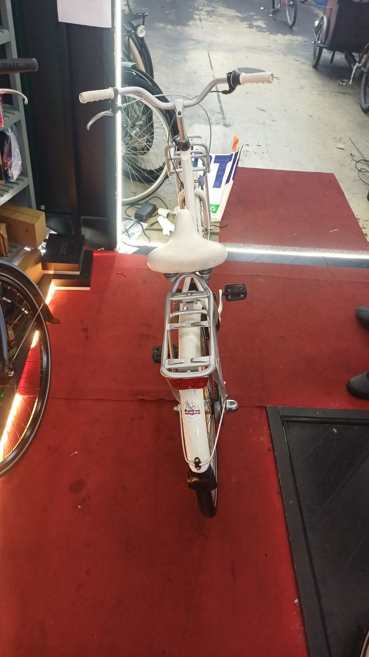 BATAVUS Damesfiets + 1 maand garantie, 43cm, 3 speed