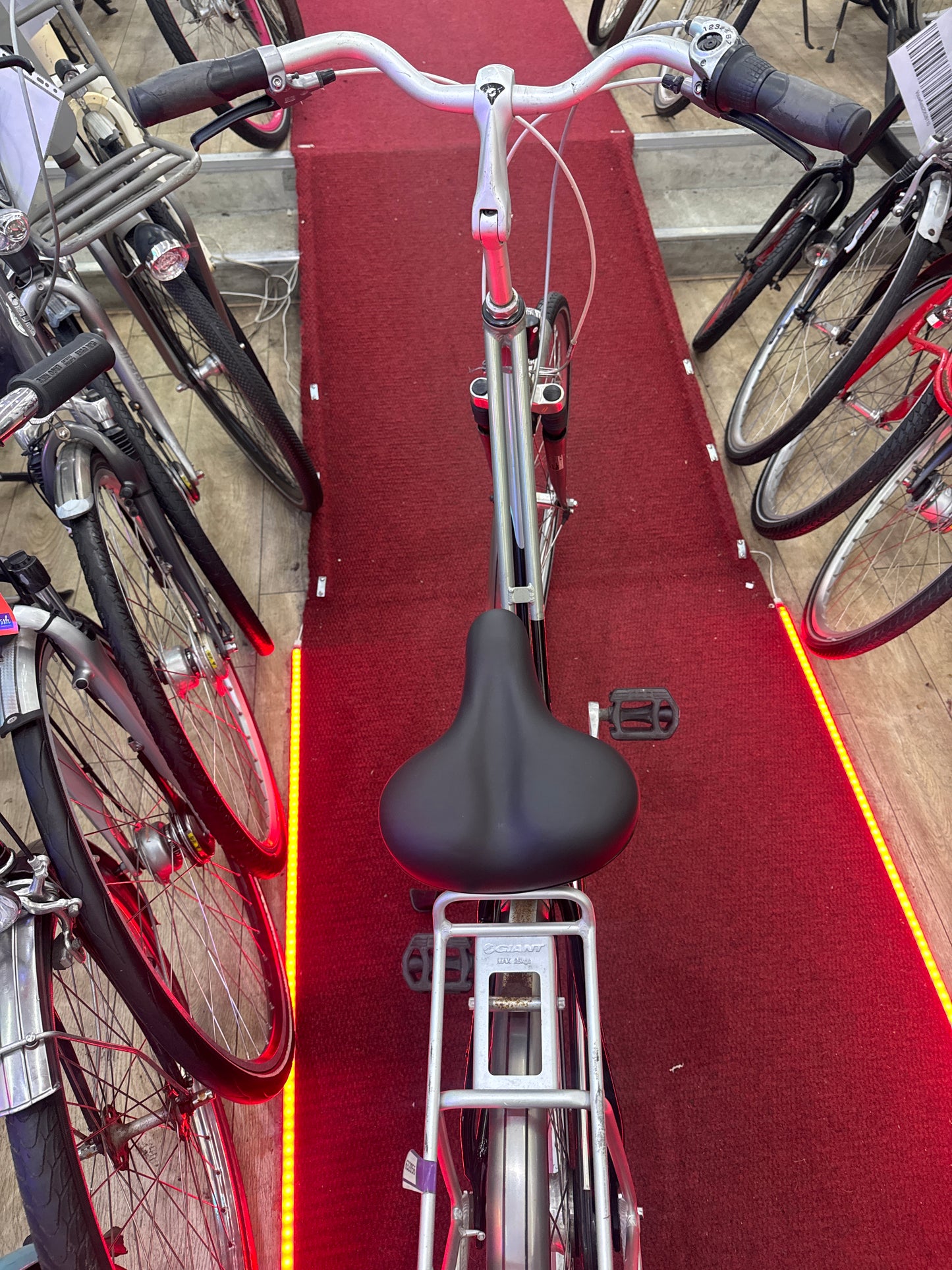 GIANT Damesfiets + 1 maand garantie, 51, 7 speed