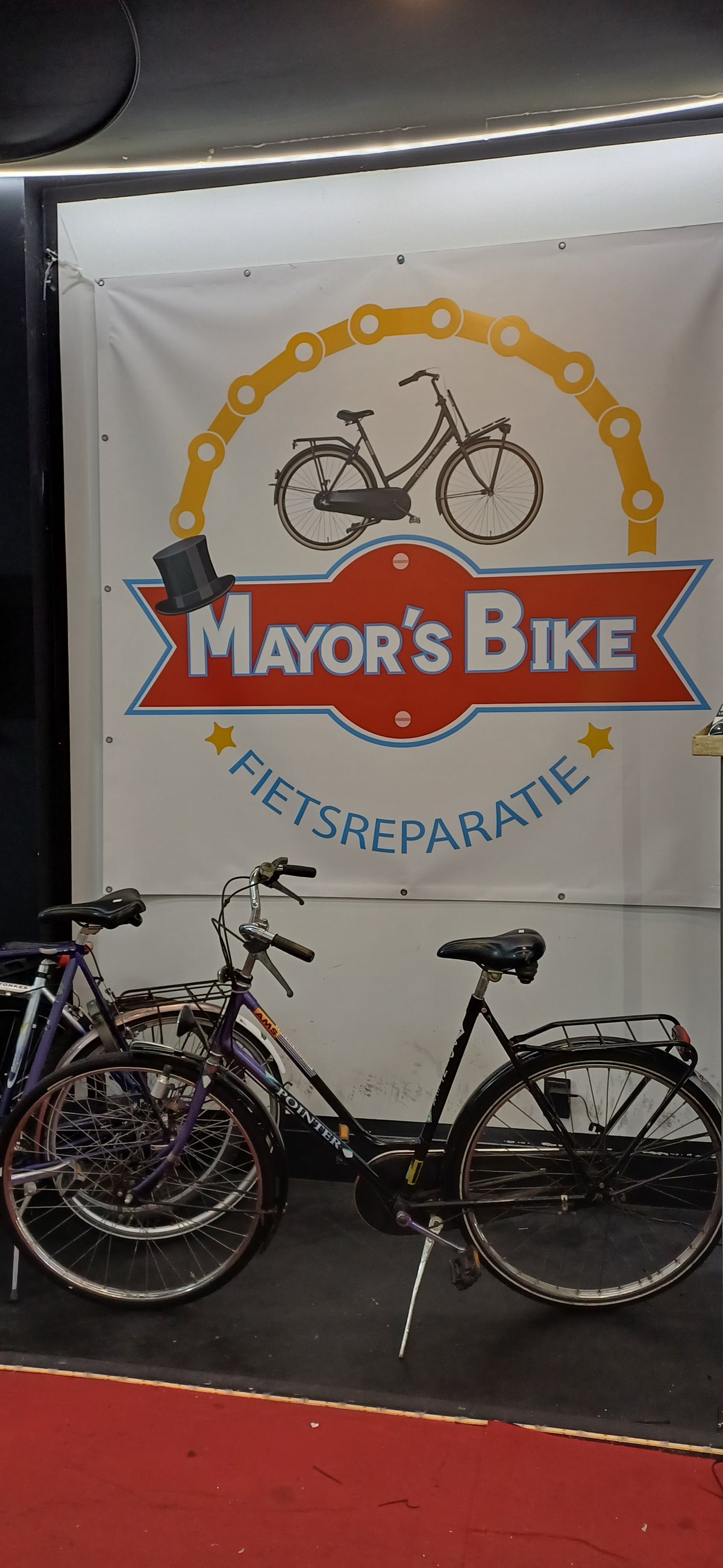 PIONER Damesfiets + 1 maand garantie, 67, 3 speed