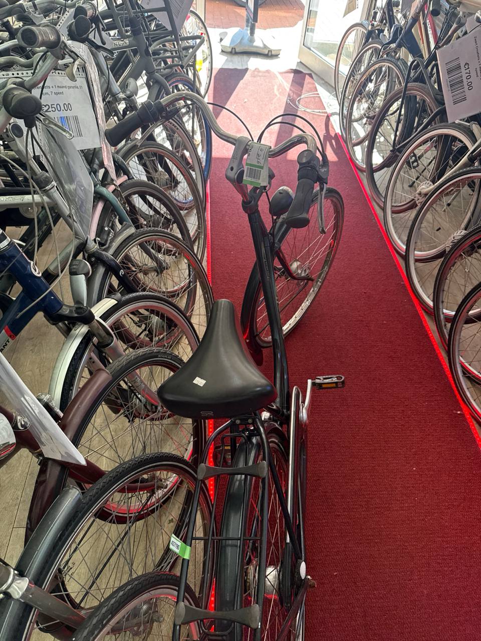 GAZELLE Damesfiets + 1 maand garantie, 44 cm, 7 speed
